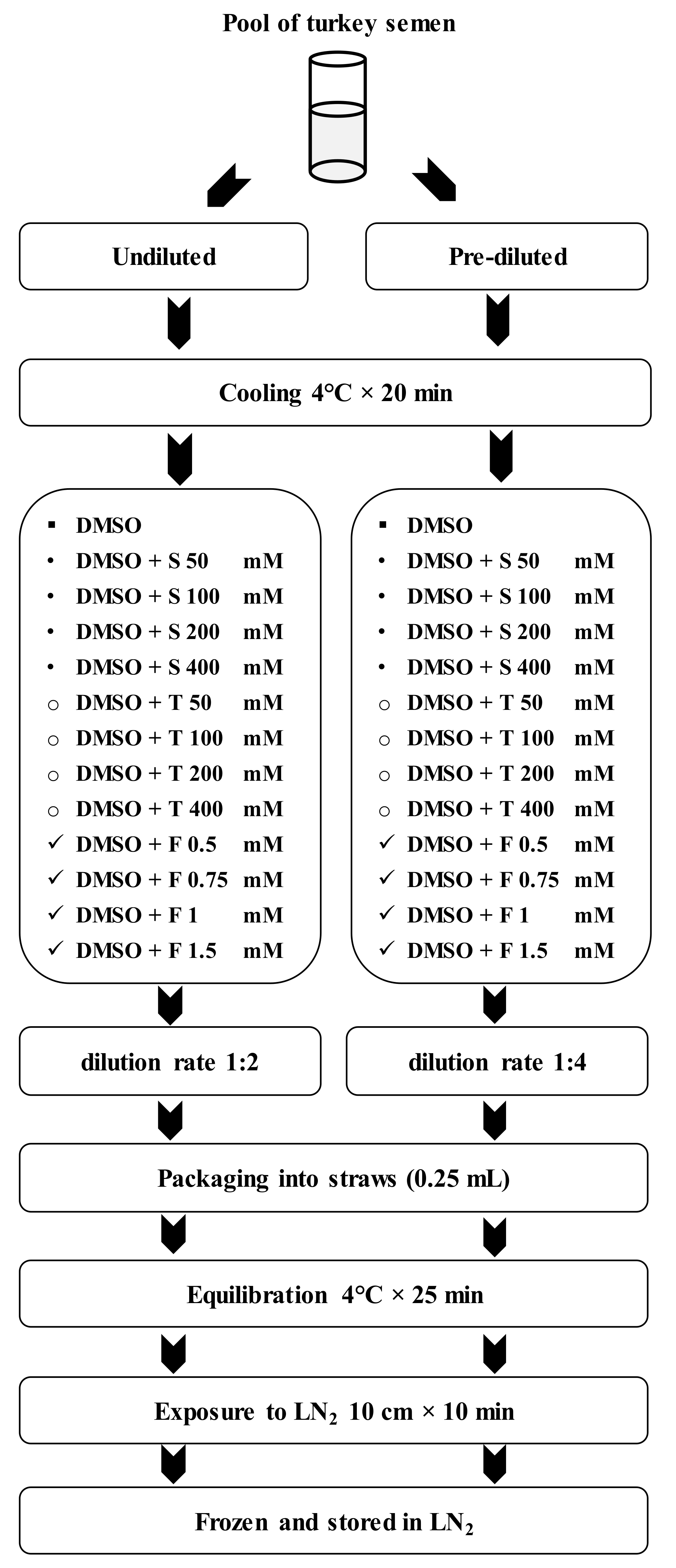 Animals Free Full Text Finding An Effective Freezing Protocol For Turkey Semen Benefits Of Ficoll As Non Permeant Cryoprotectant And 1 4 As Dilution Rate Html