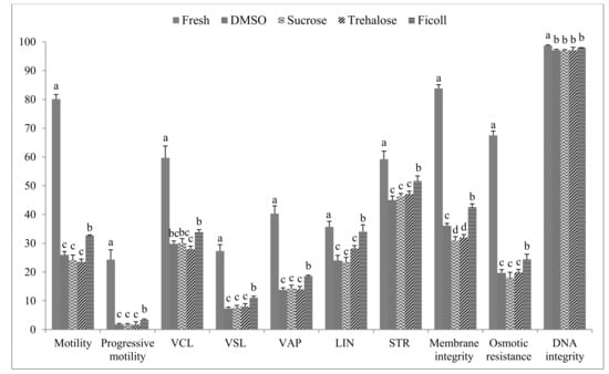 Animals Free Full Text Finding An Effective Freezing Protocol For Turkey Semen Benefits Of Ficoll As Non Permeant Cryoprotectant And 1 4 As Dilution Rate Html