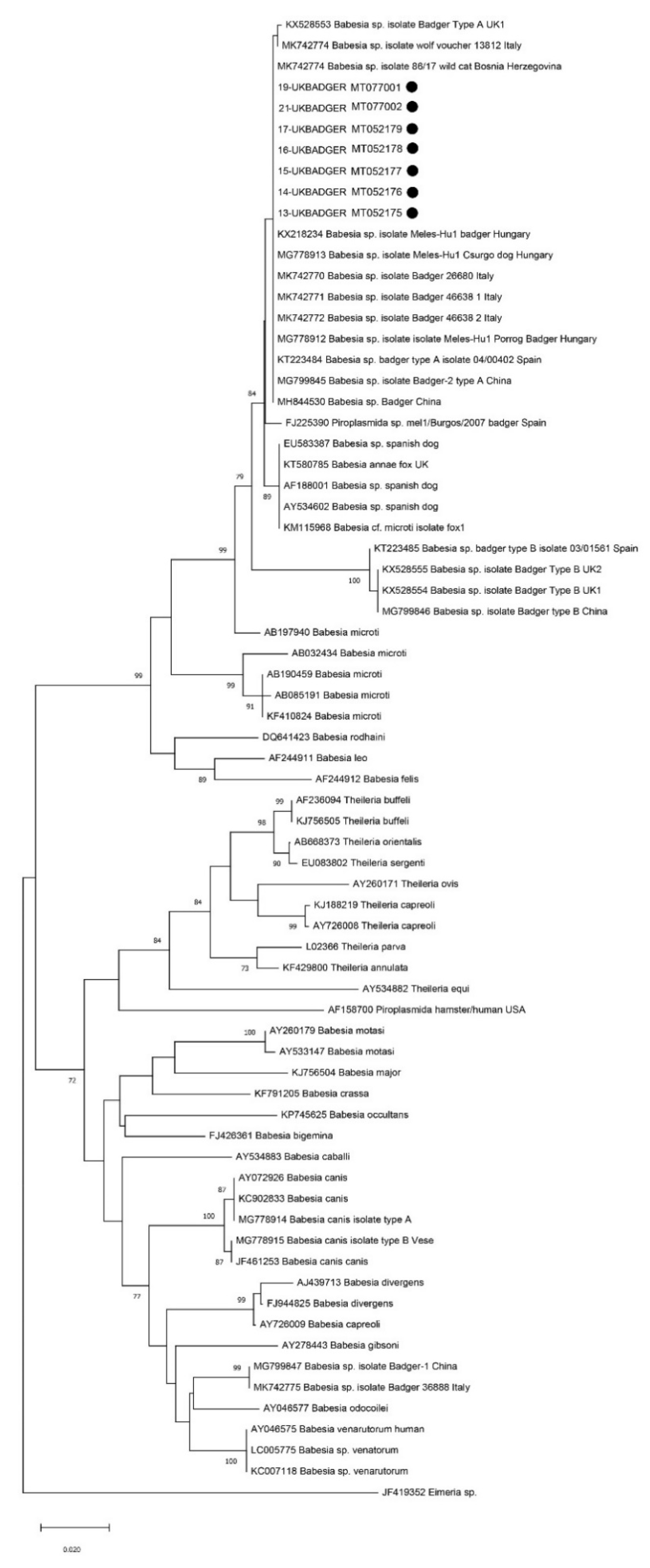 Animals 10 00446 g001