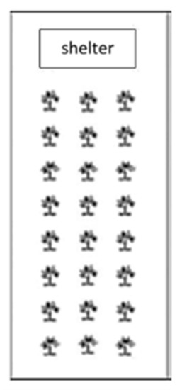 animals free full text performance behavior and welfare status of six different organically reared poultry genotypes html