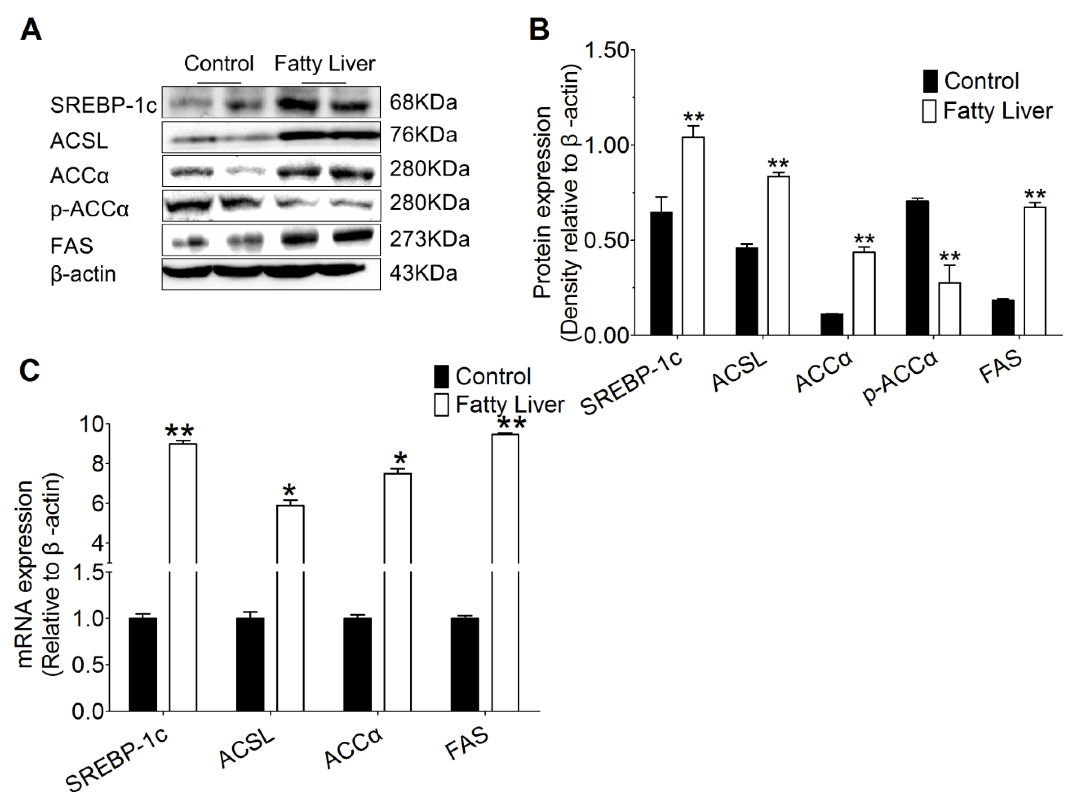 Animals 10 00560 g005