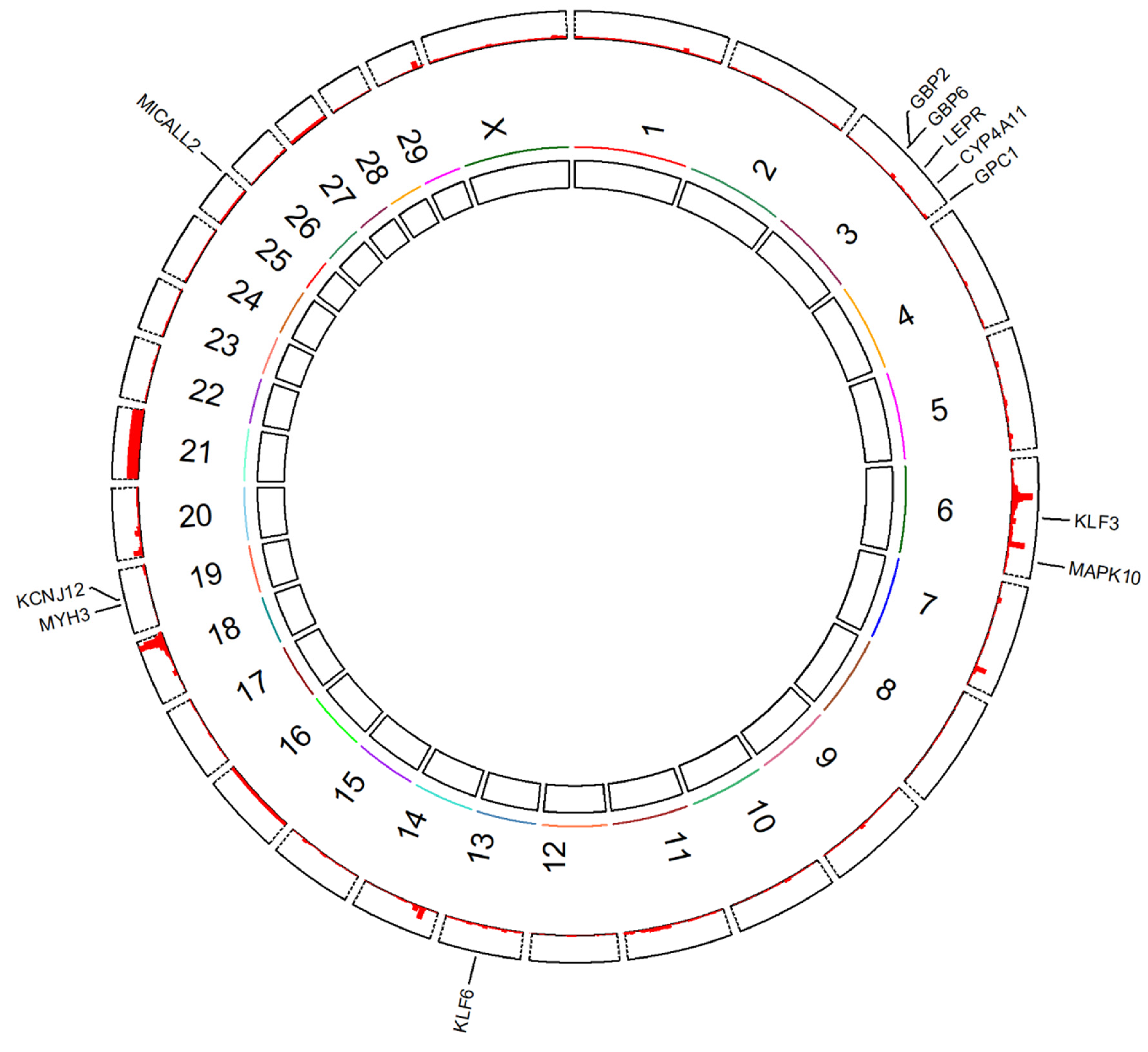Animals 10 00566 g005