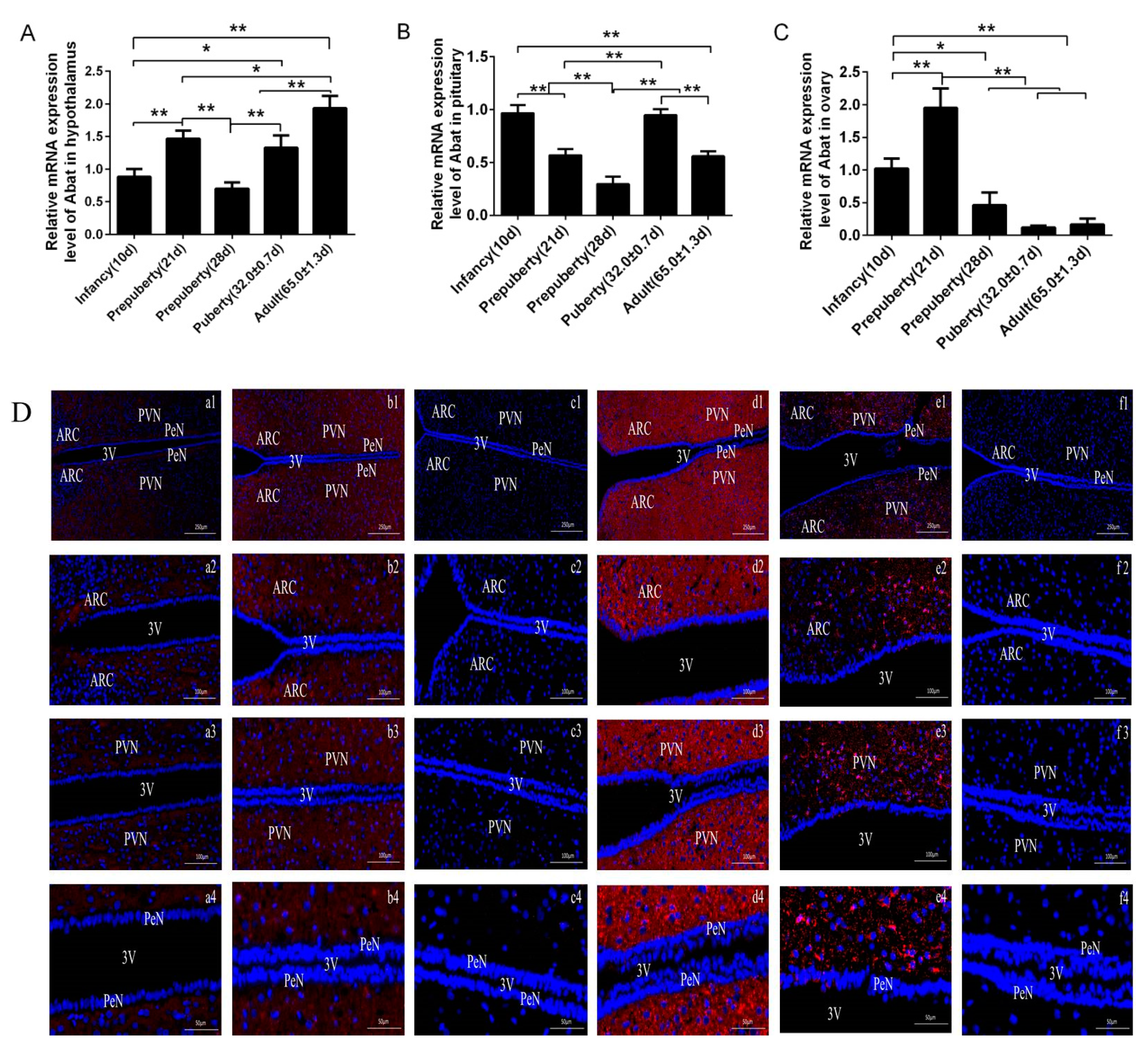 Animals Free Full Text Effect Of Gaba T On Reproductive Function In Female Rats Html