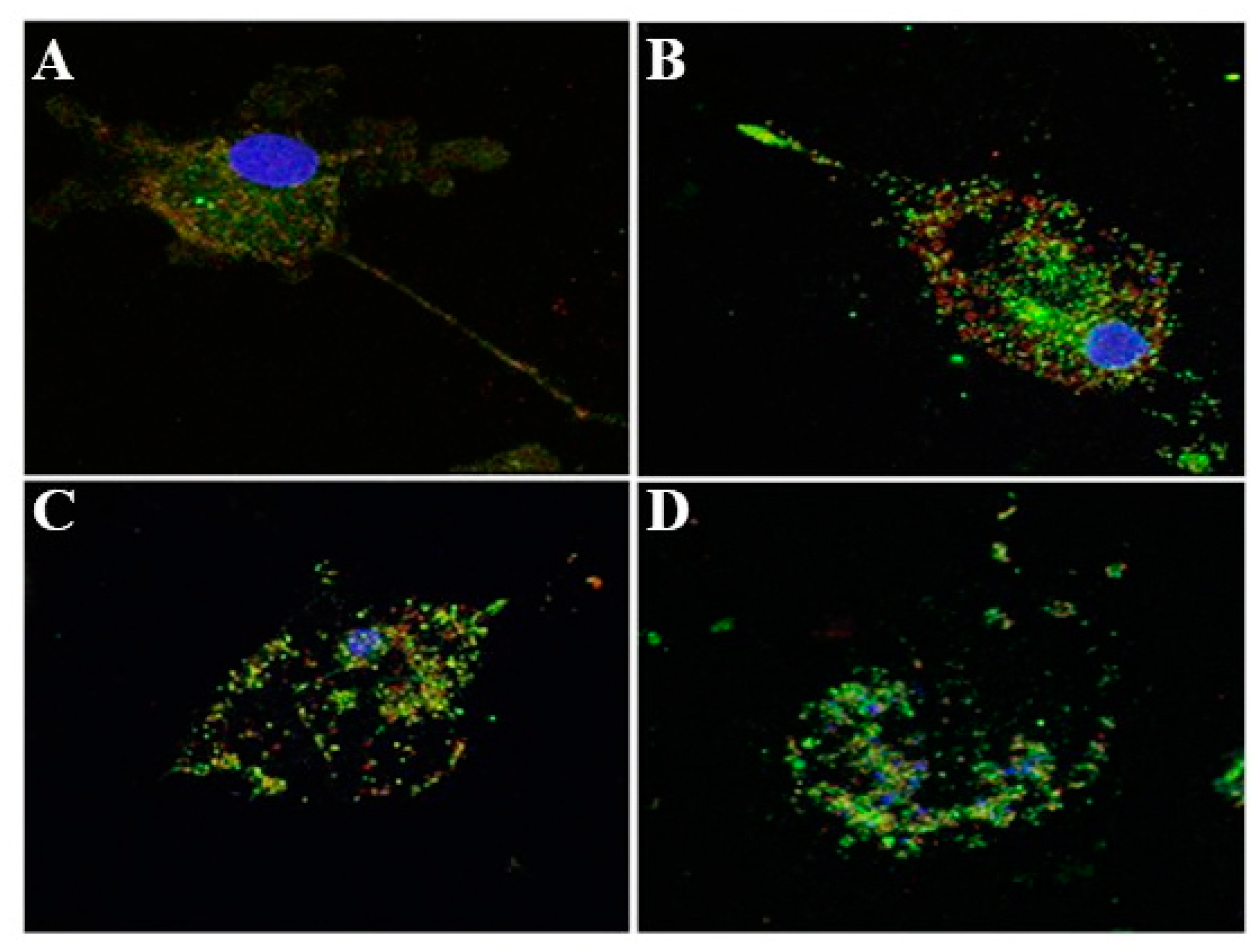 Animals 10 00655 g003a