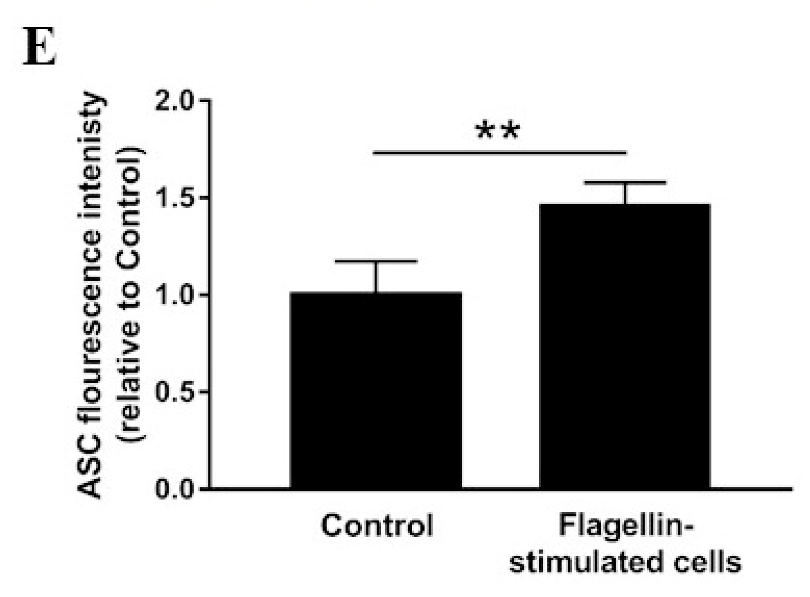 Animals 10 00655 g003b
