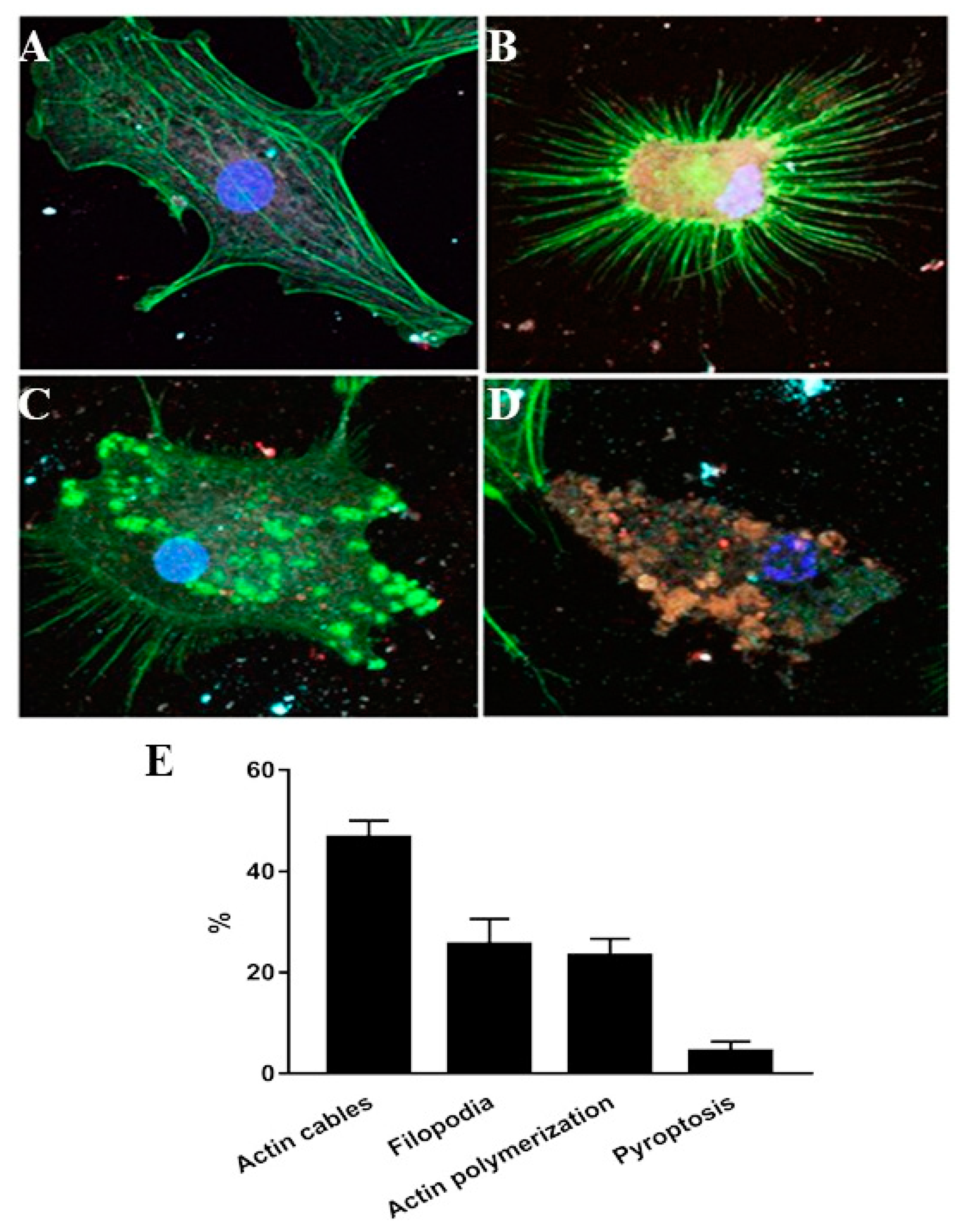 Animals 10 00655 g004