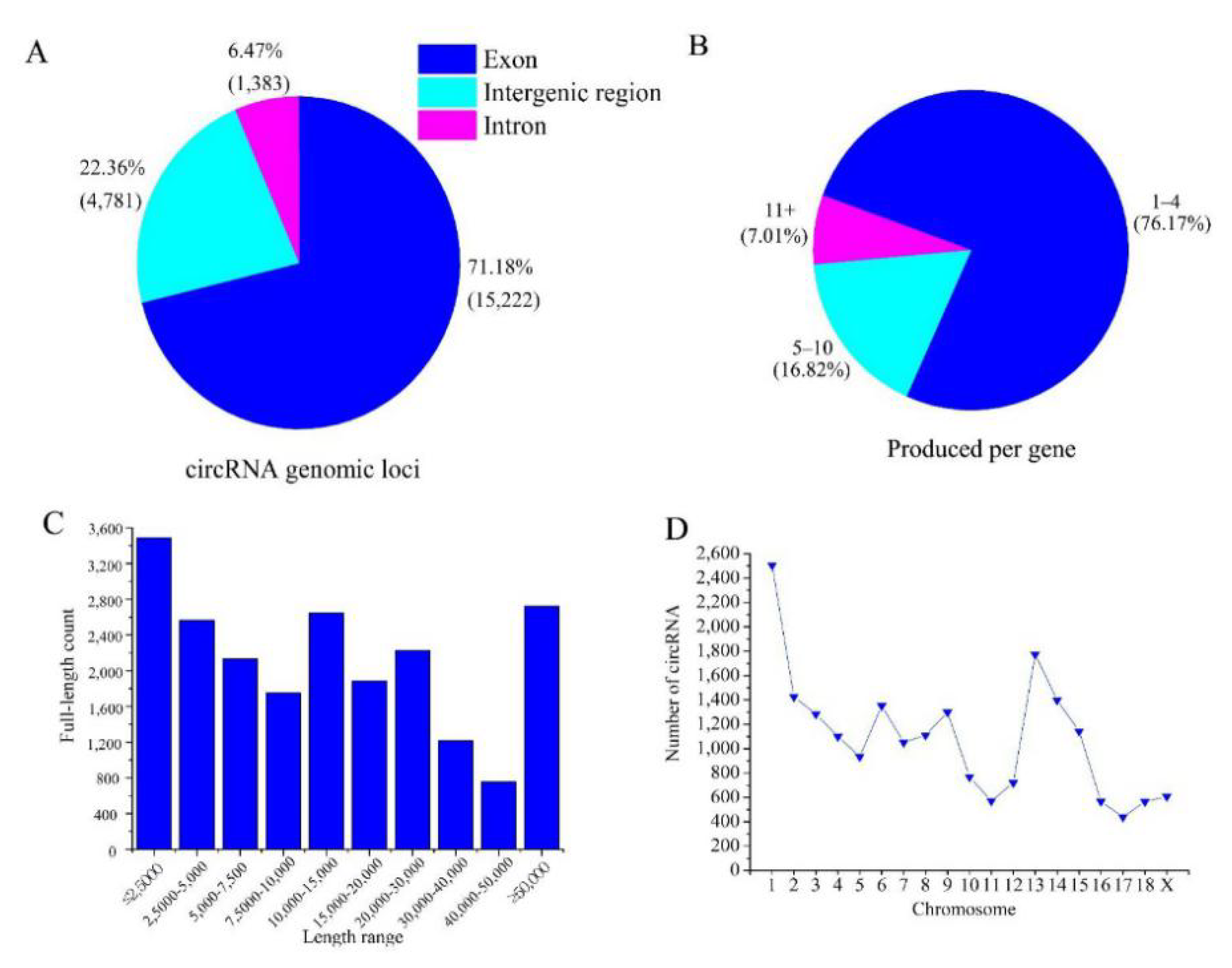 Animals Free Full Text Ovarian Circular Rnas Associated With High And Low Fertility In Large White Sows During The Follicular And Luteal Phases Of The Estrous Cycle Html