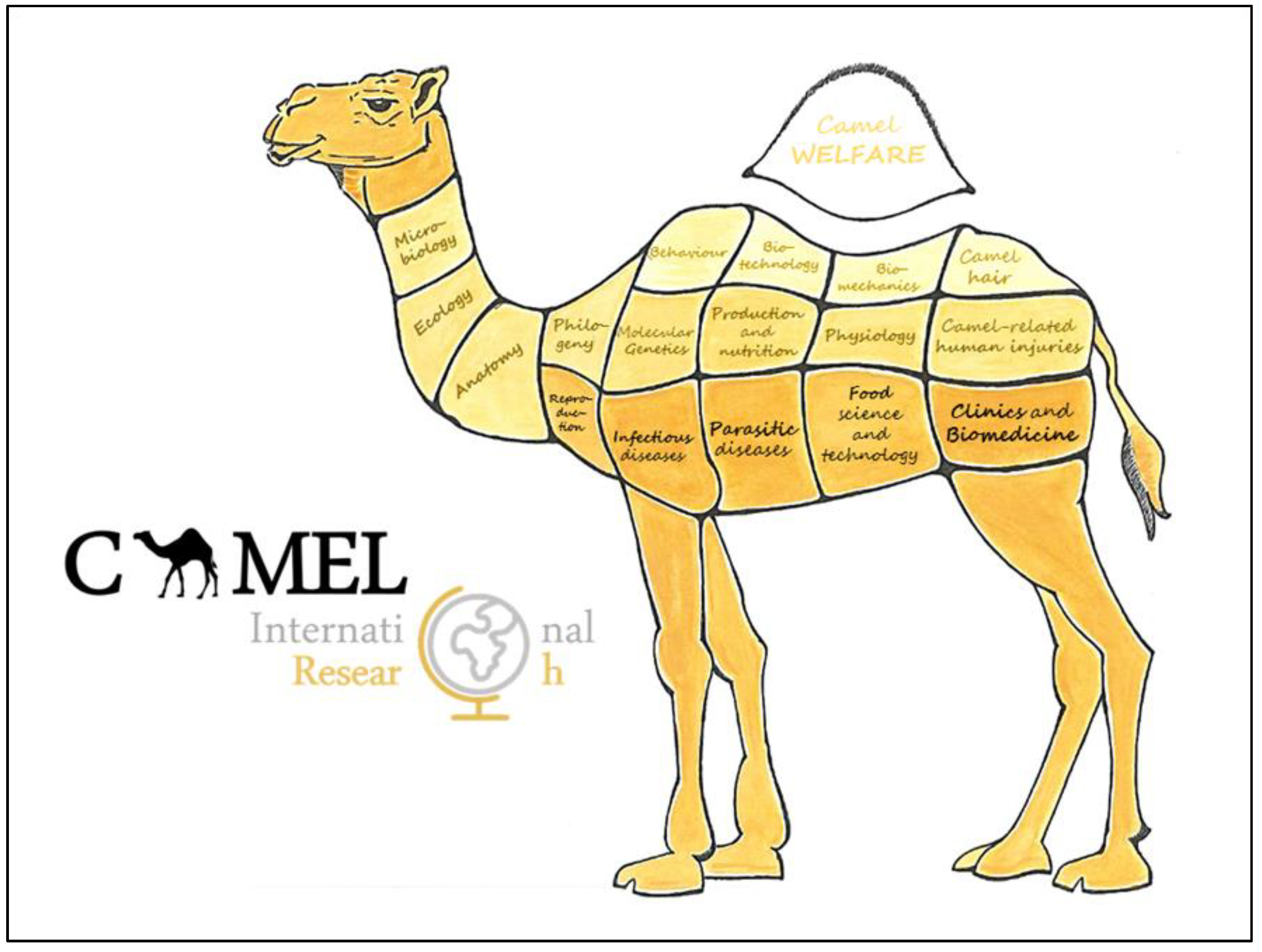 Animals | Free Full-Text | Effect of Research Impact on Emerging Camel  Husbandry, Welfare and Social-Related Awareness