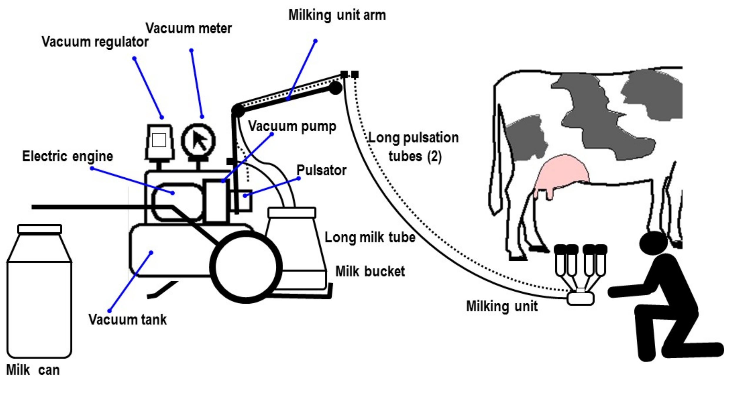 Massive milking. Кресло milking Machine. Доильный танк. Милкинг тейбл.