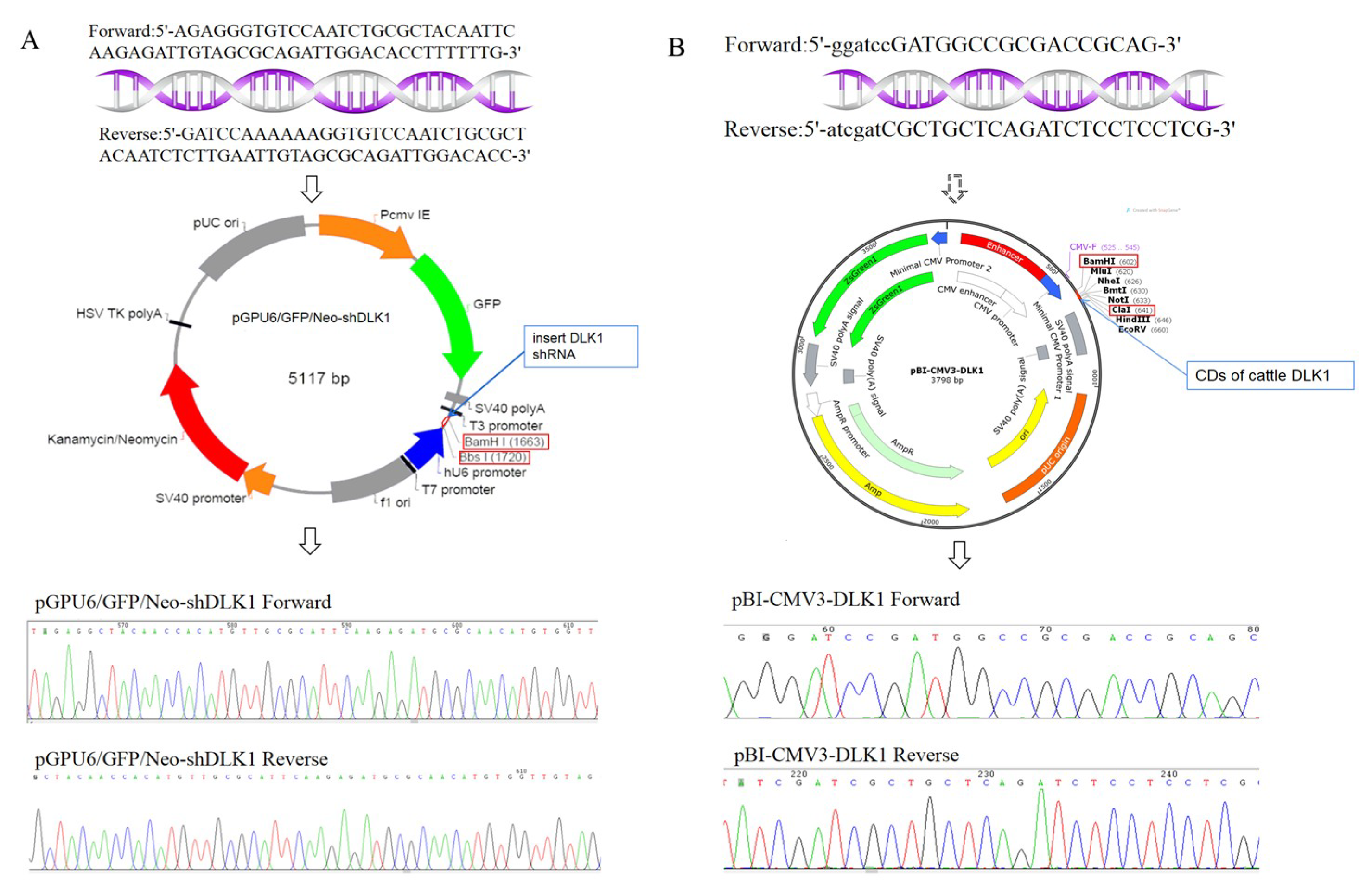 Animals 10 00923 g002