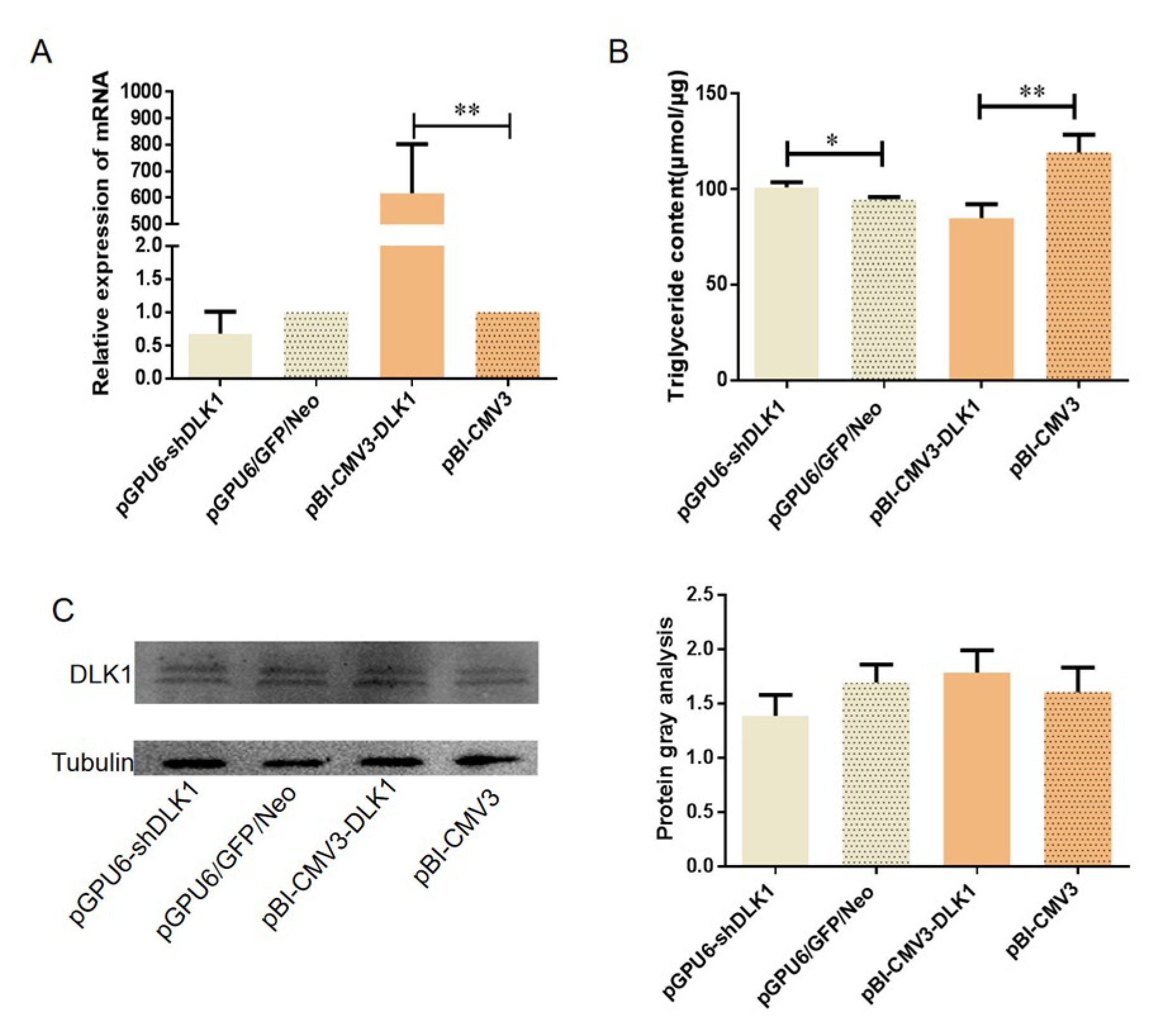 Animals 10 00923 g004