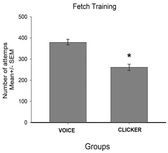 What is a clicker and why use one? An introduction to event markers