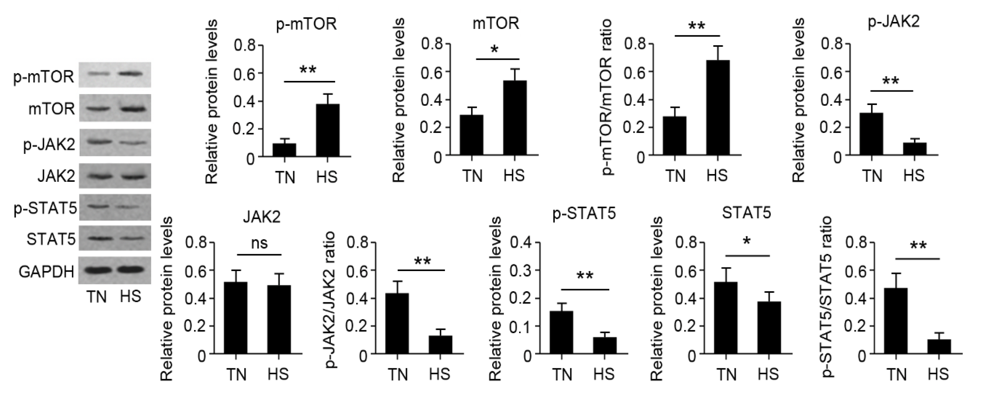 Animals 10 01015 g006