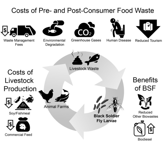 Animal Farming 101 Nms Beyond Help A Fellow Traveler Etarc Community