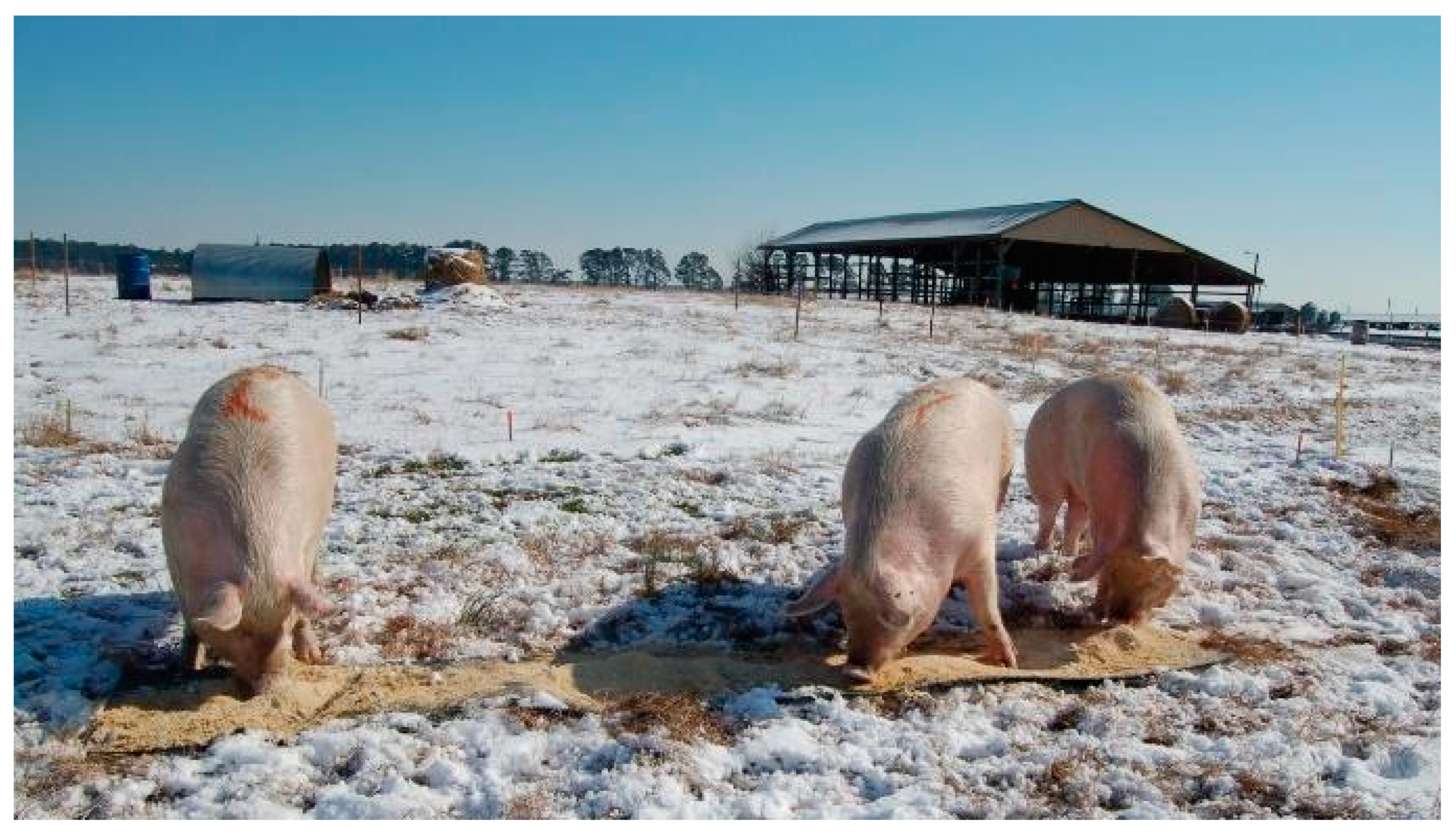 Animals 10 01046 g002 Animals 10 01046 g002