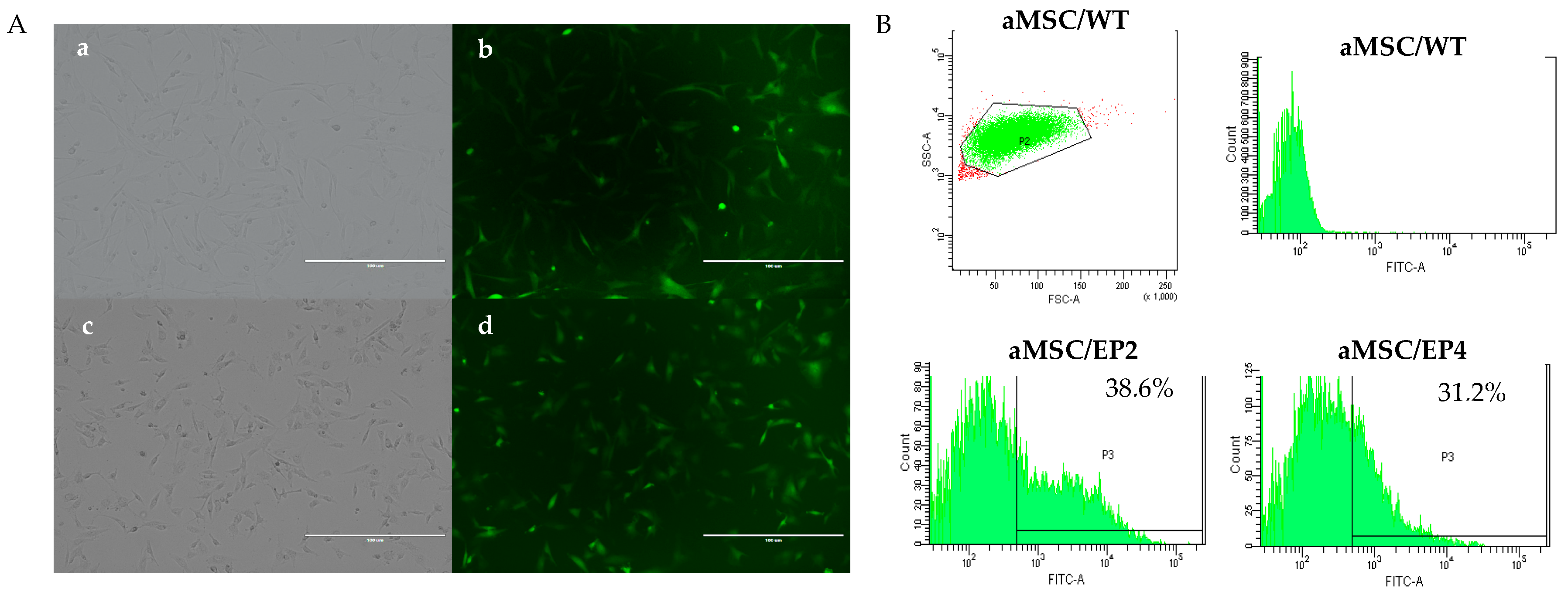Animals 10 01078 g002