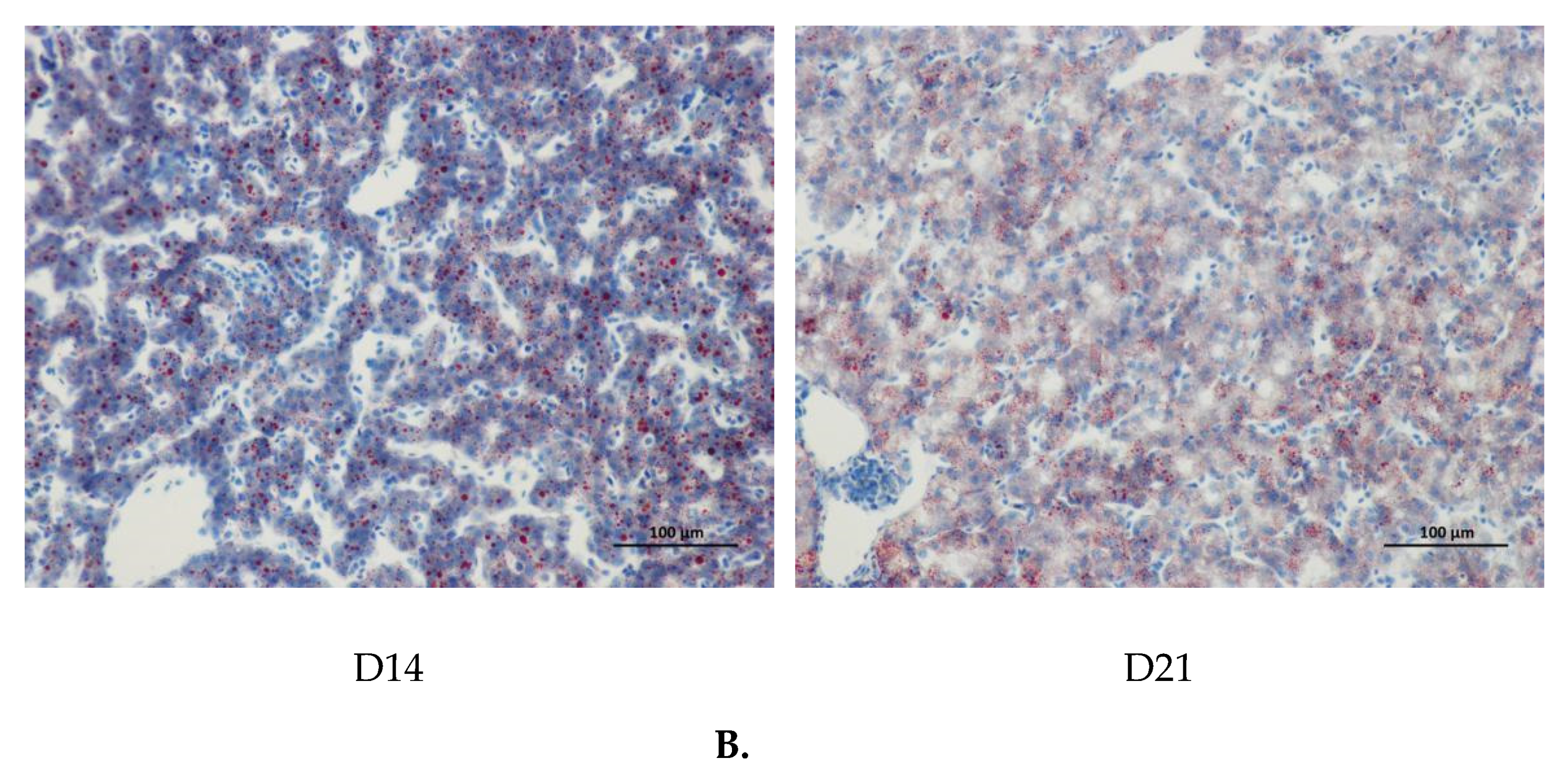 Animals 10 01121 g006b