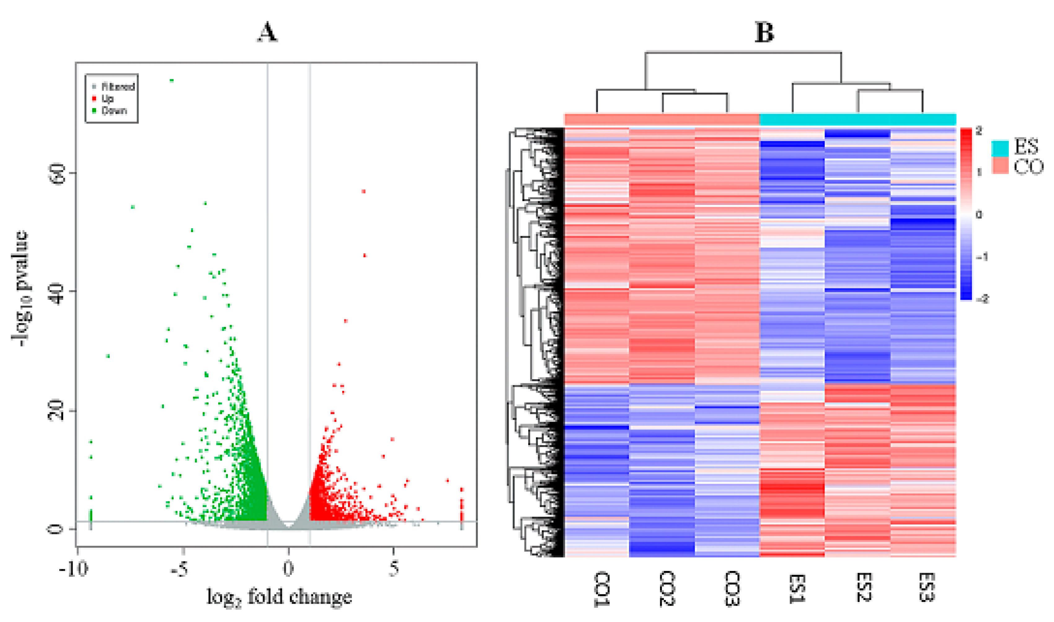 Animals 10 01150 g001 Animals 10 01150 g001