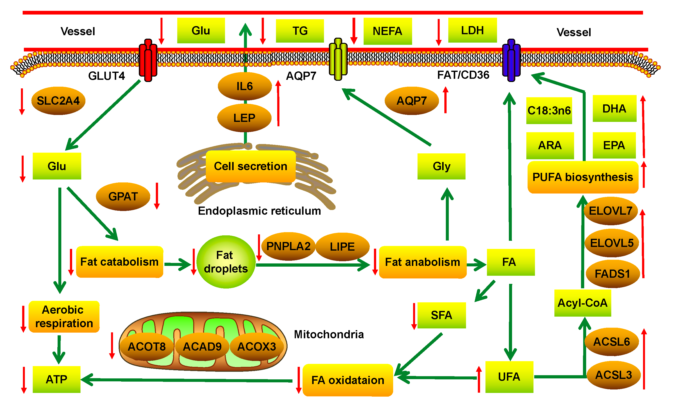 Animals 10 01150 g003 Animals 10 01150 g003