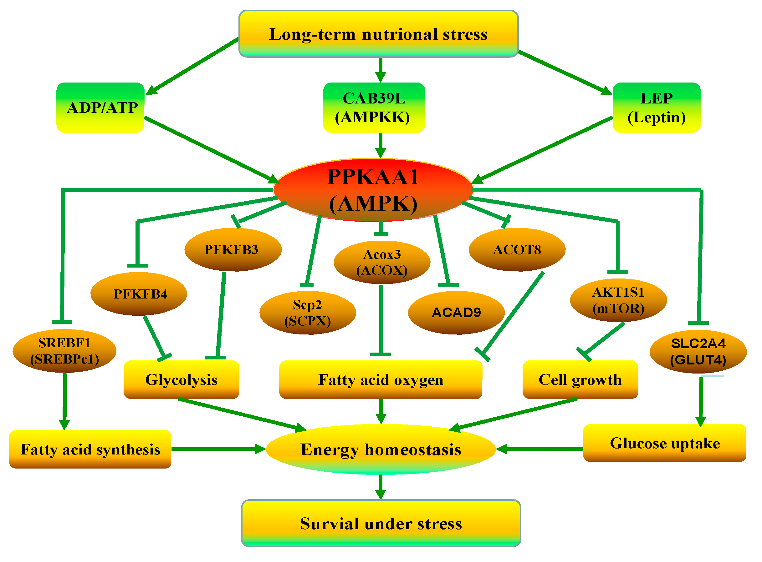 Animals 10 01150 g004 Animals 10 01150 g004