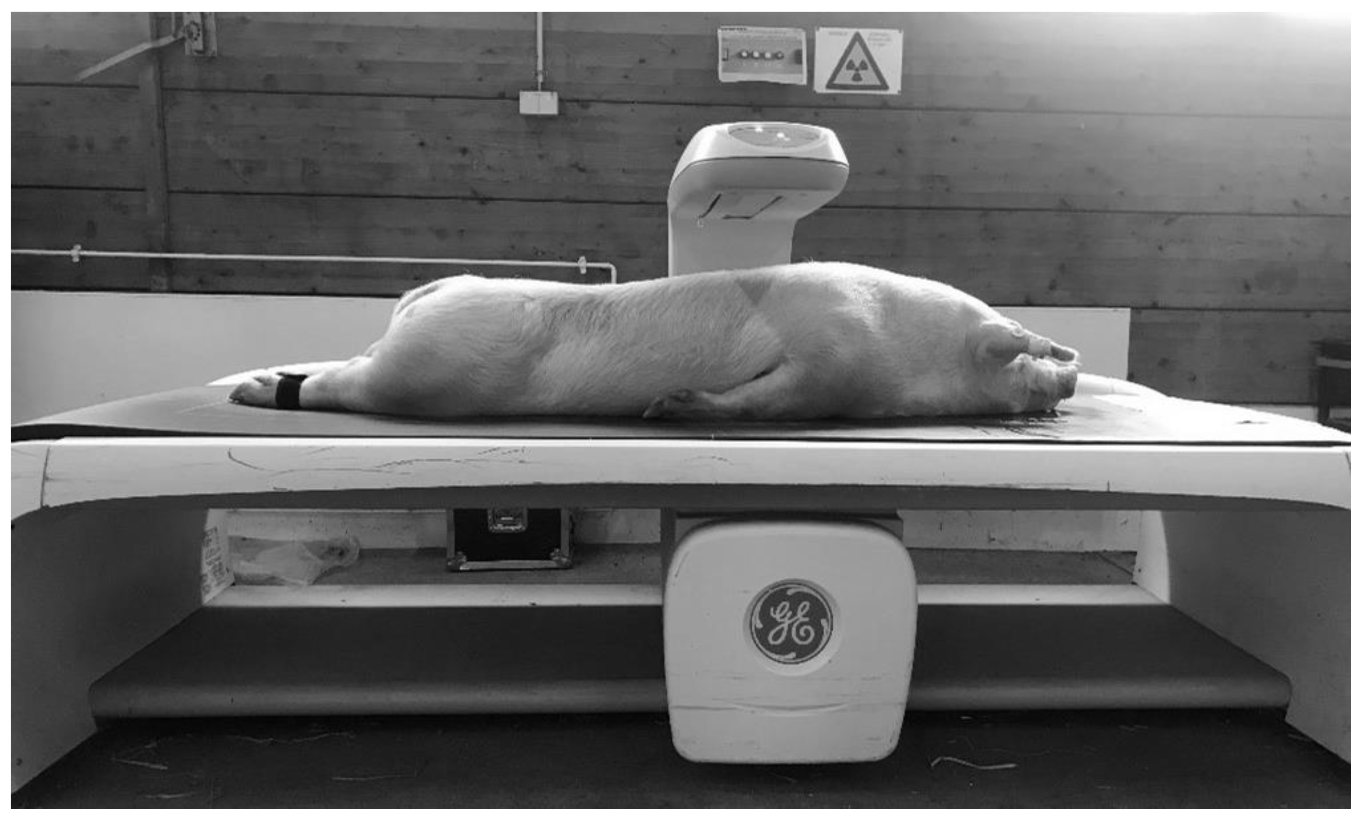 Animals 10 01165 g002