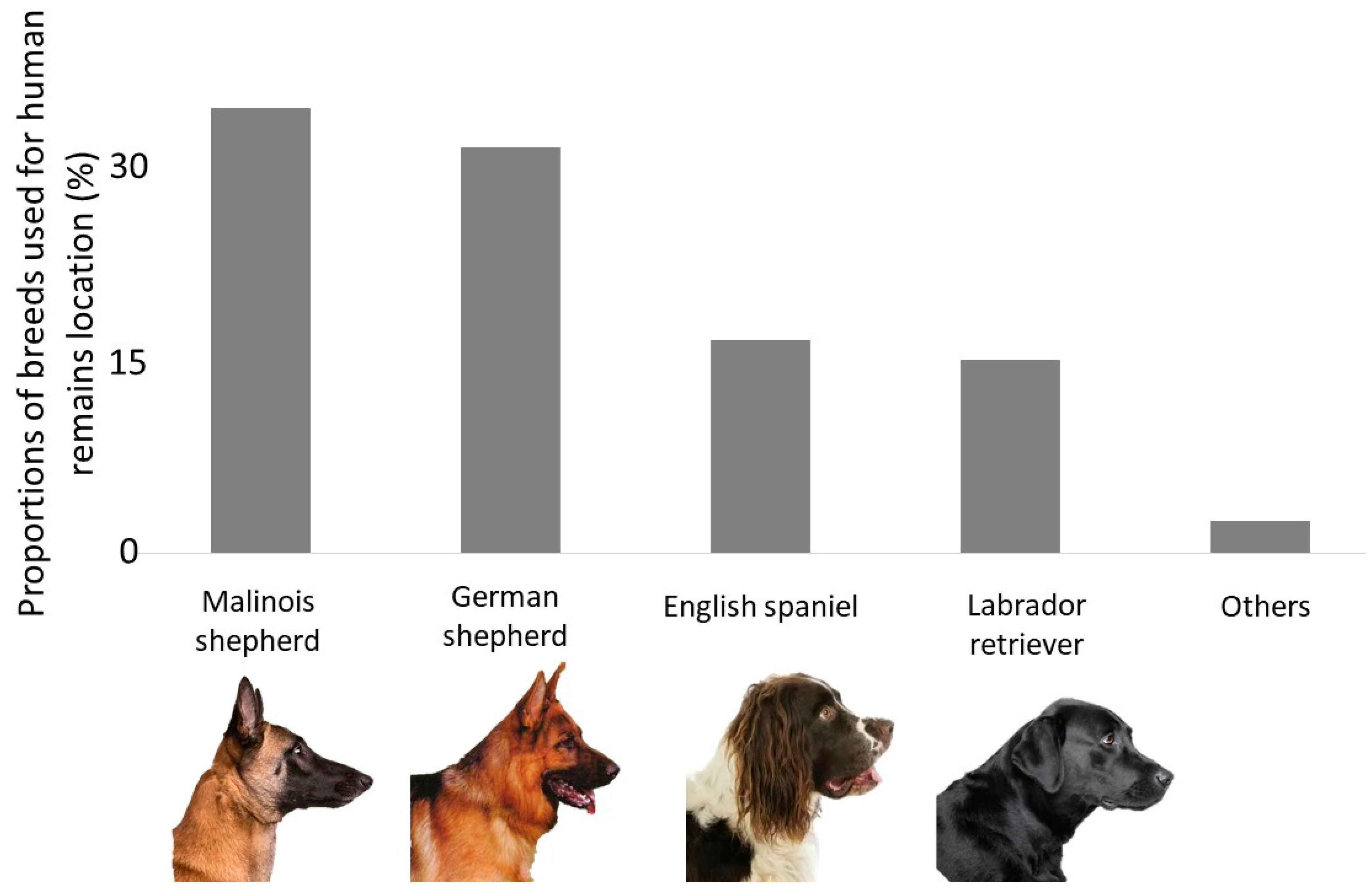 Animals | Free Full-Text | Cadaver Dogs and the Deathly Hallows—A Survey  and Literature Review on Selection and Training Procedure | HTML