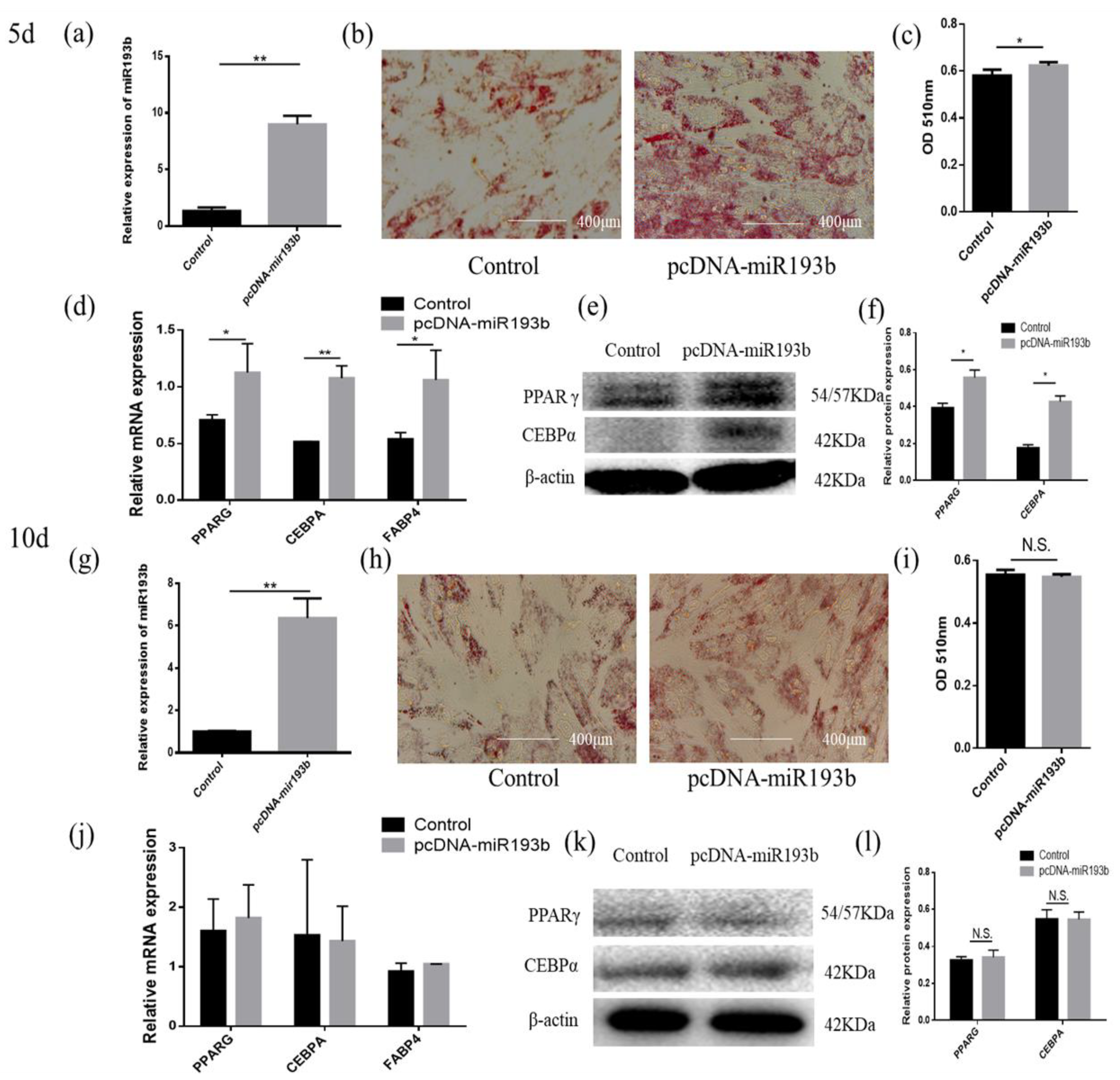 Animals 10 01265 g002
