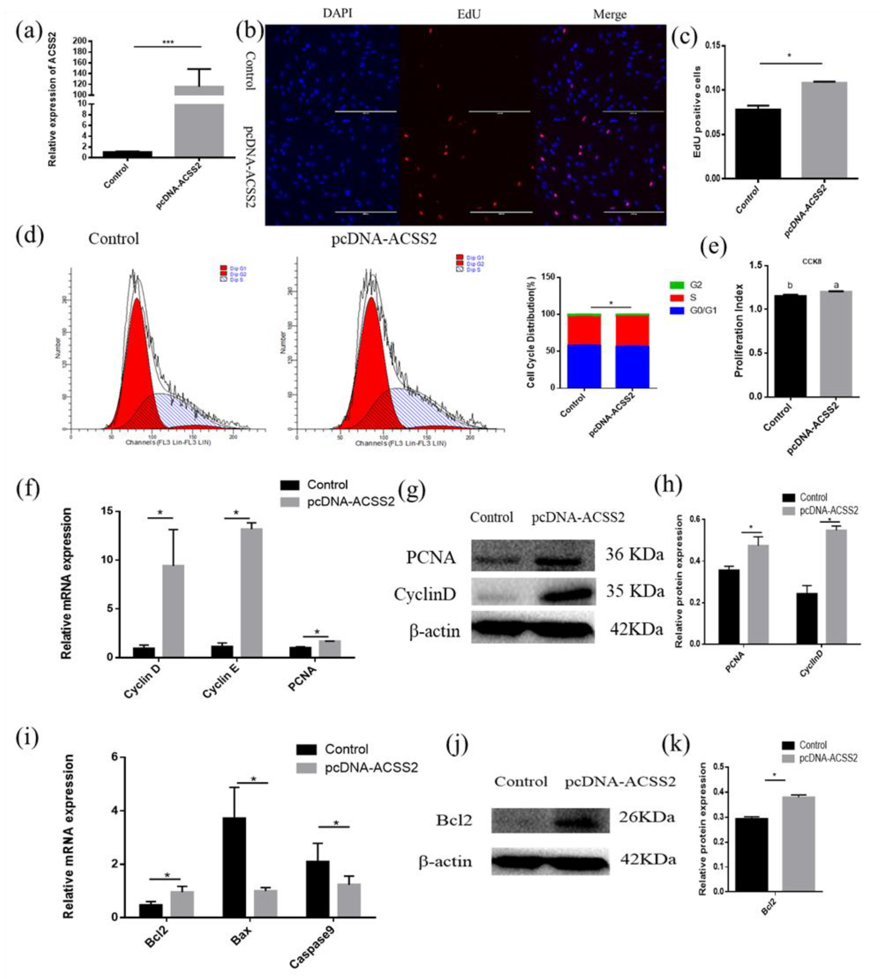 Animals 10 01265 g006