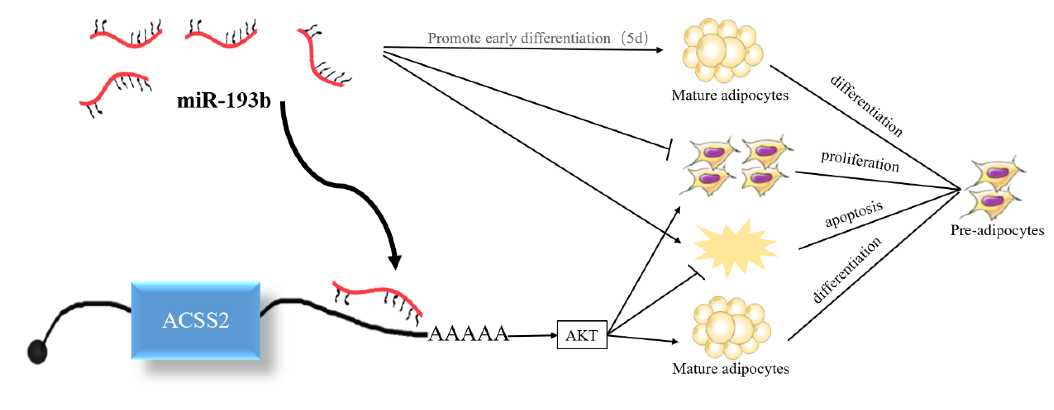 Animals 10 01265 g008
