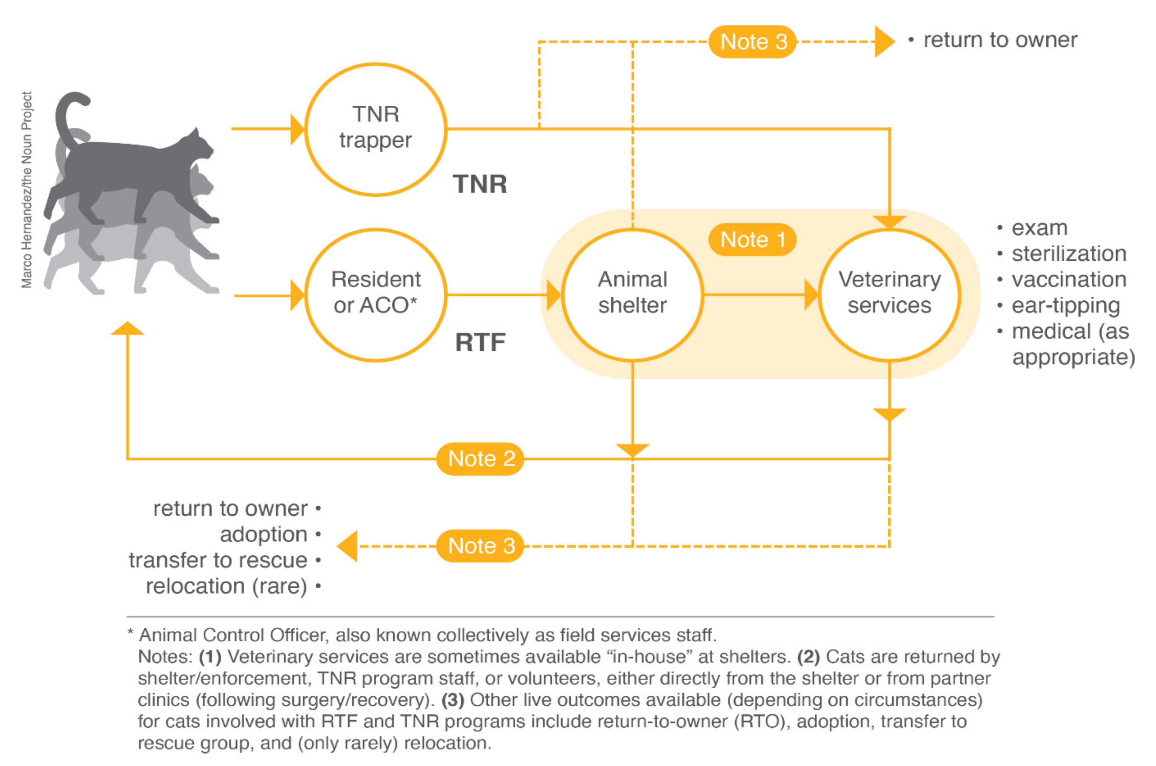 https://www.mdpi.com/animals/animals-10-01395/article_deploy/html/images/animals-10-01395-g001.png