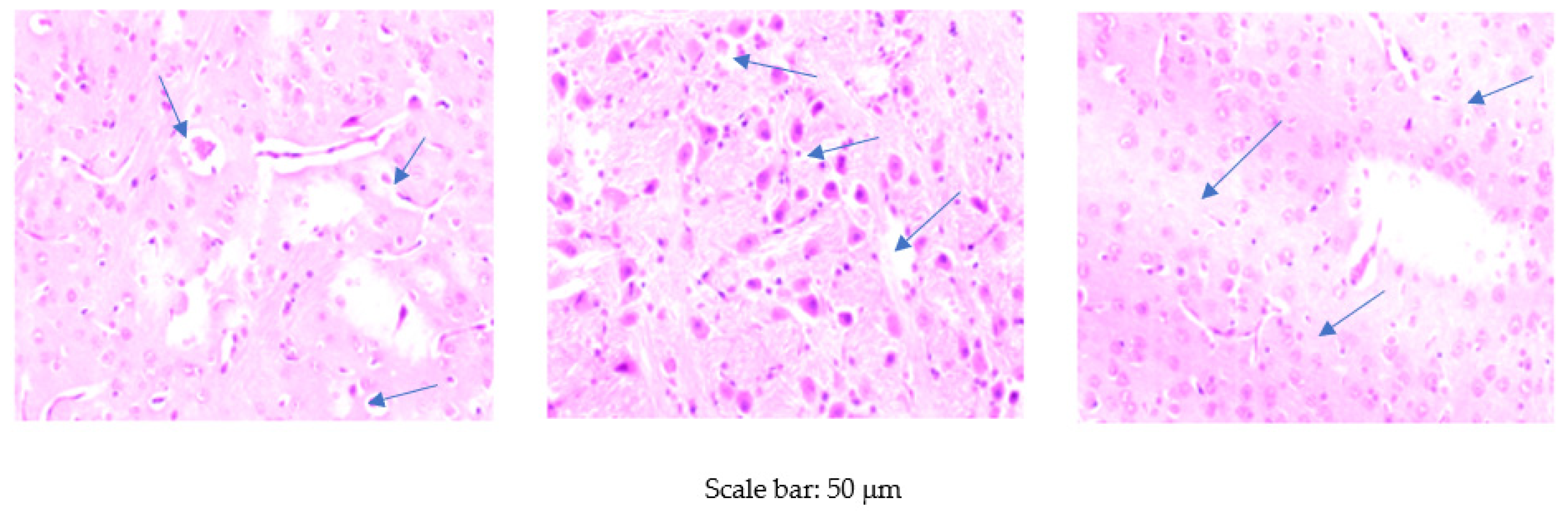 Animals 10 01470 g001