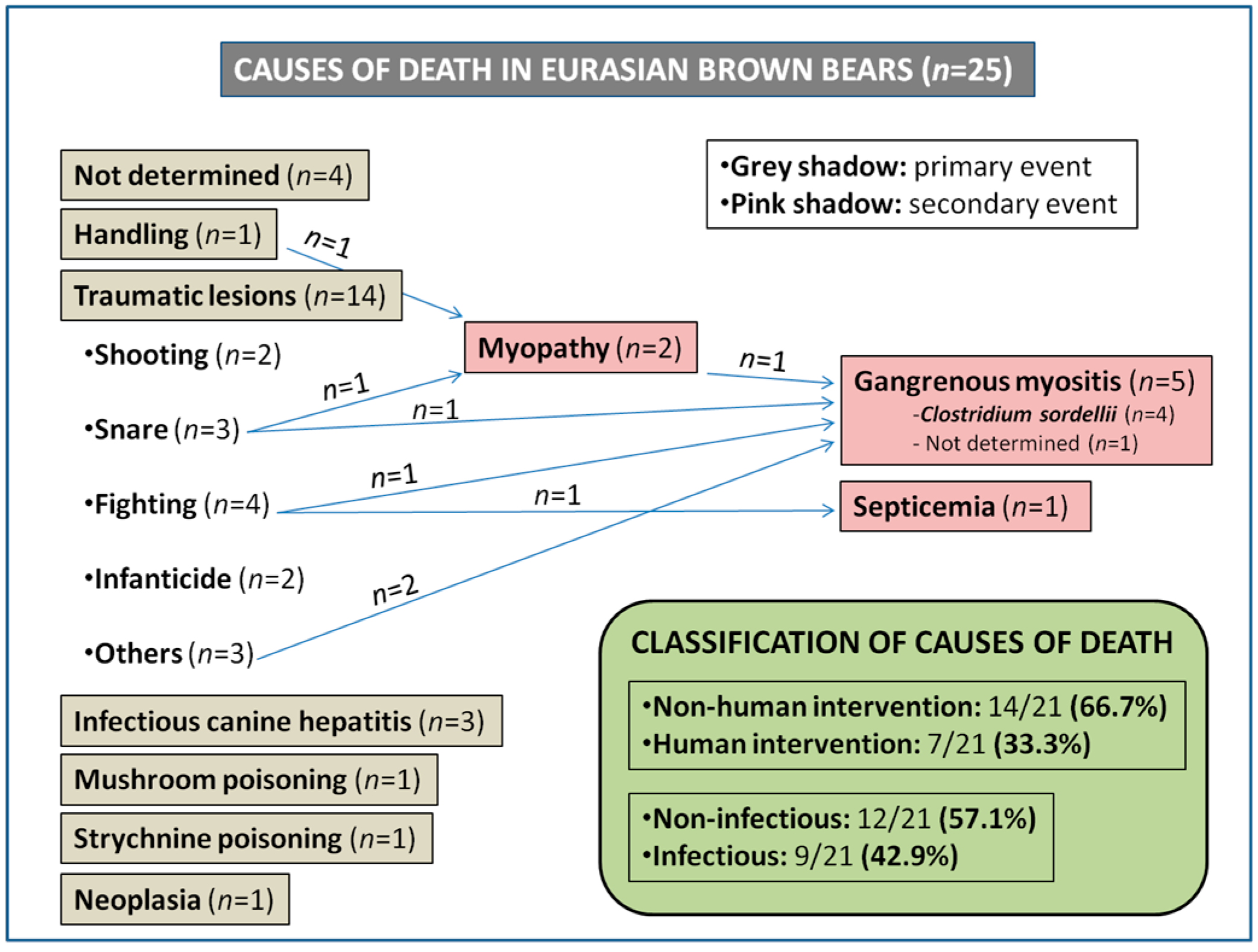 what causes infectious canine hepatitis