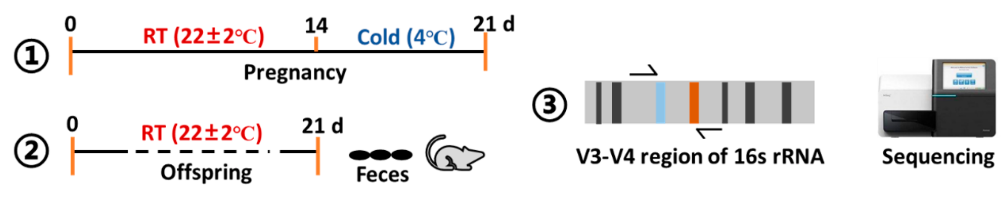 Animals 10 01619 g001