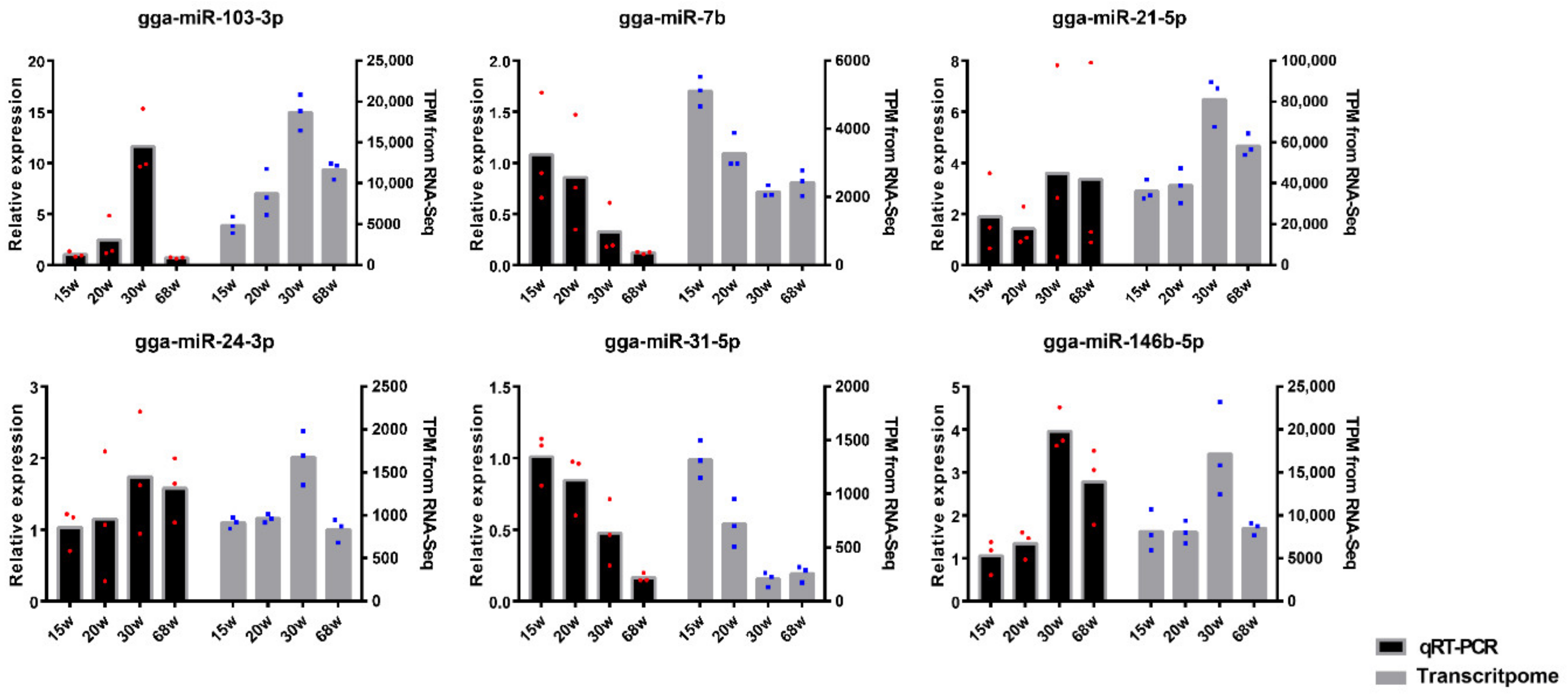 Animals 10 01680 g005