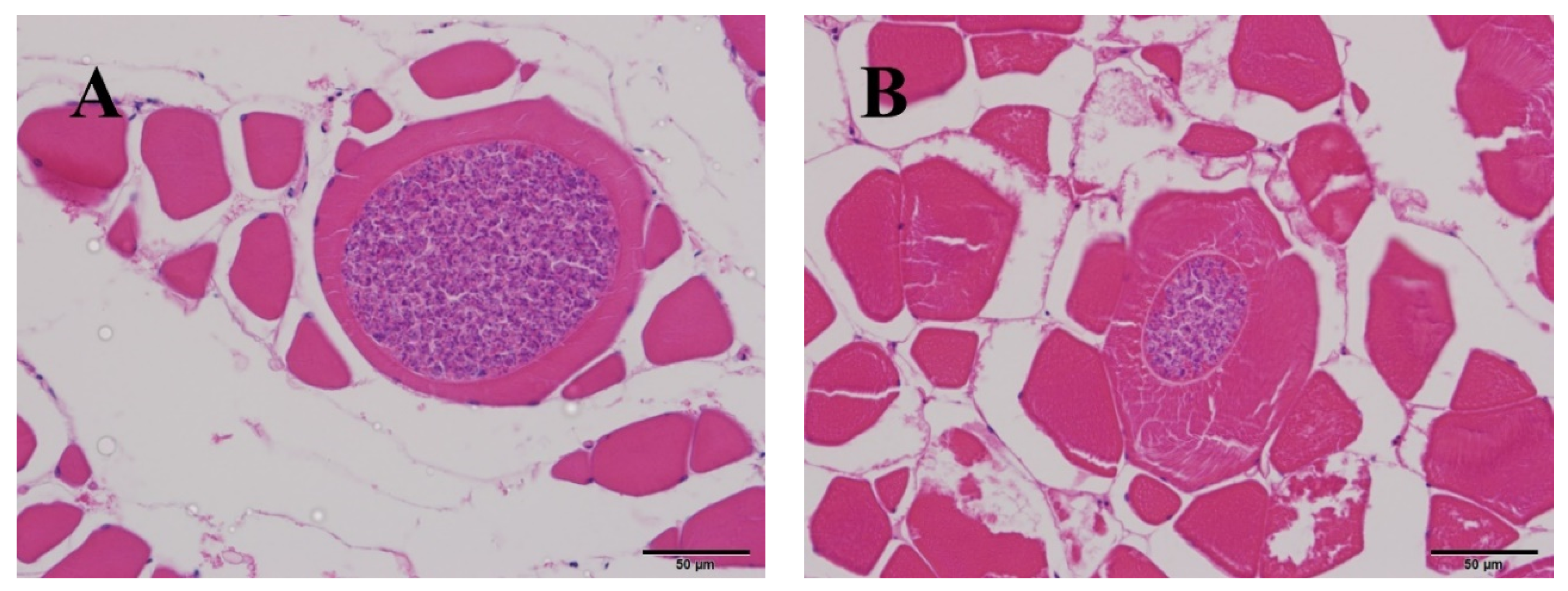 Animals 10 01705 g002 Animals 10 01705 g002