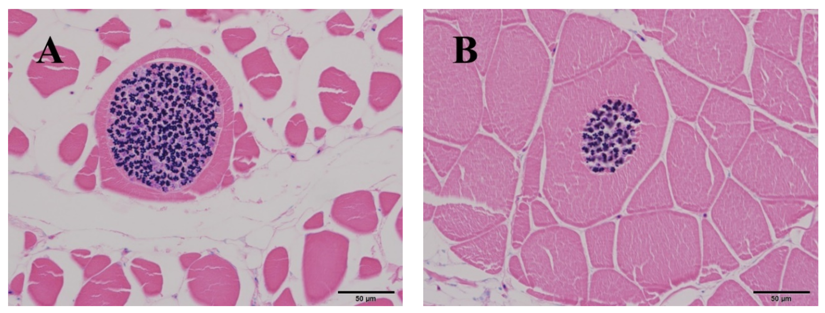 Animals 10 01705 g003 Animals 10 01705 g003