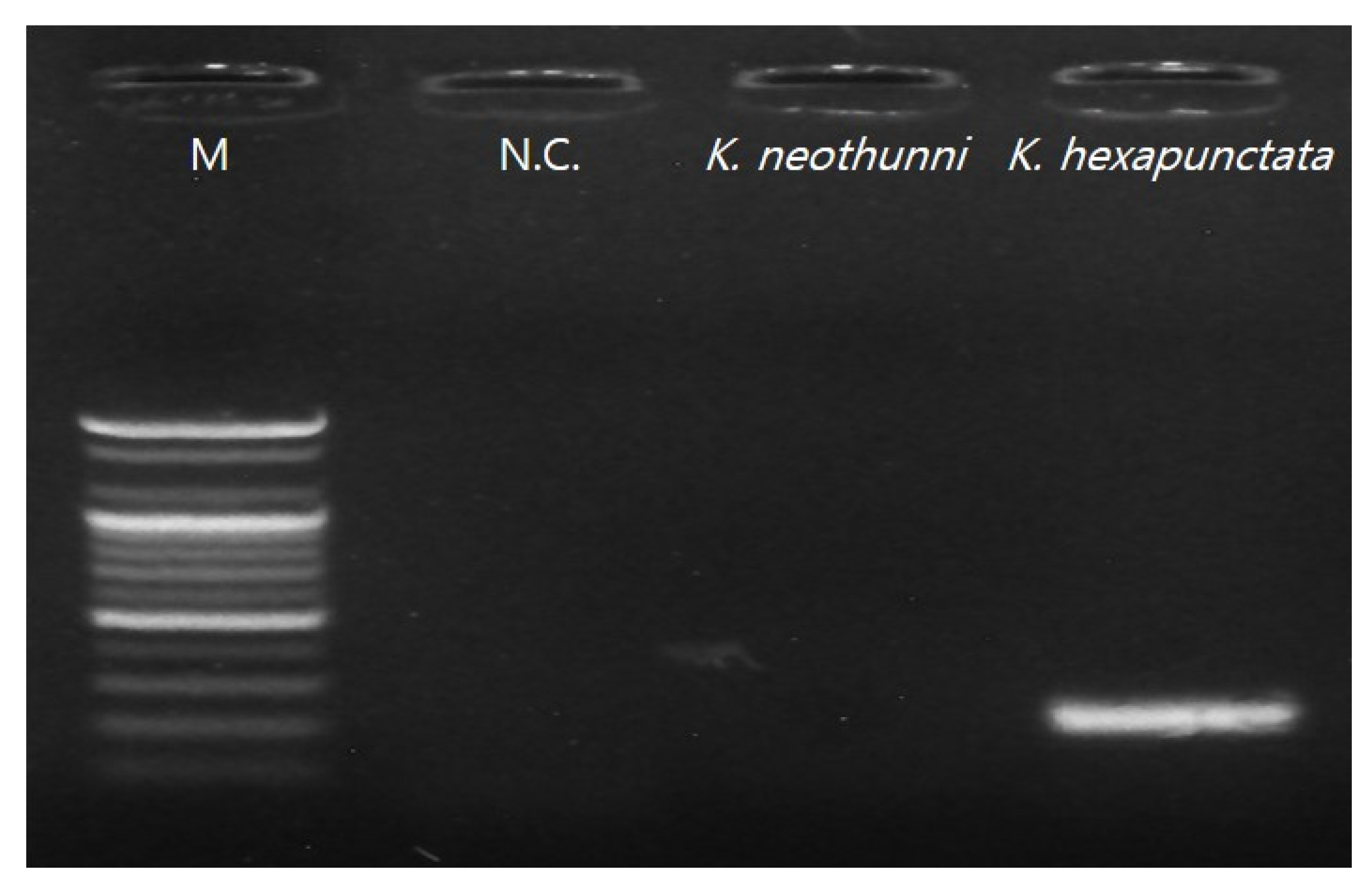 Animals 10 01705 g004 Animals 10 01705 g004