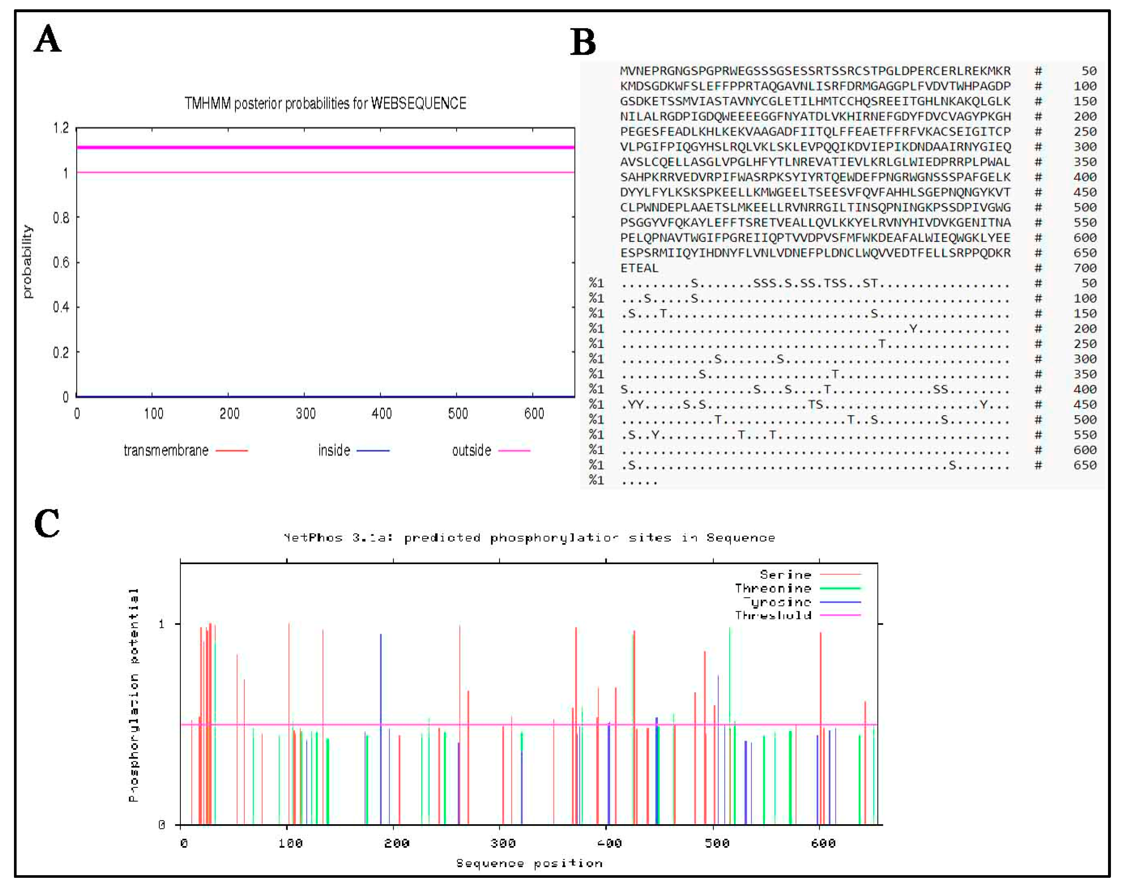 Animals 10 01731 g005