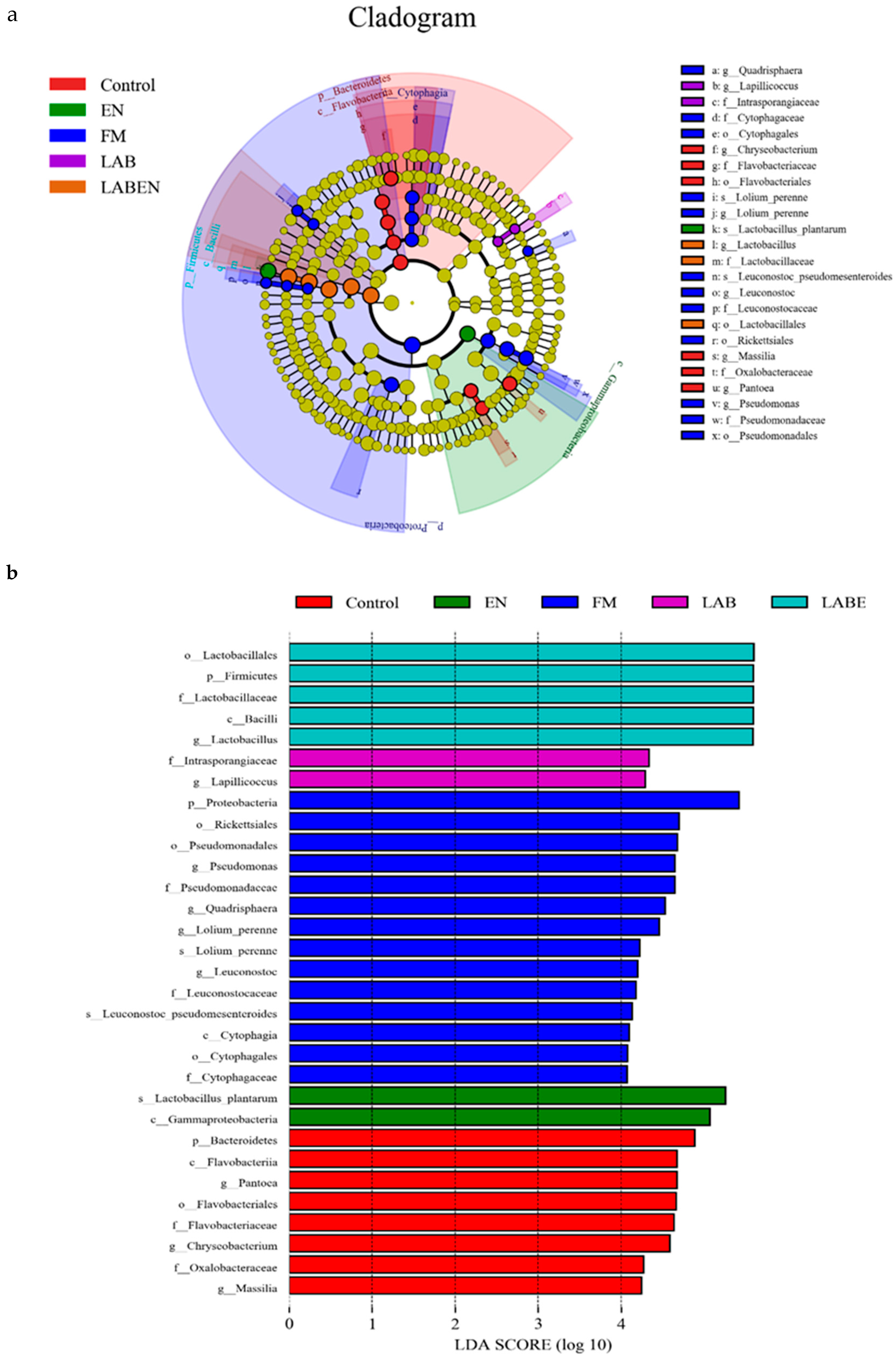 Animals Free Full Text Silage Fermentation Bacterial Community And Aerobic Stability Of Total Mixed Ration Containing Wet Corn Gluten Feed And Corn Stover Prepared With Different Additives Html