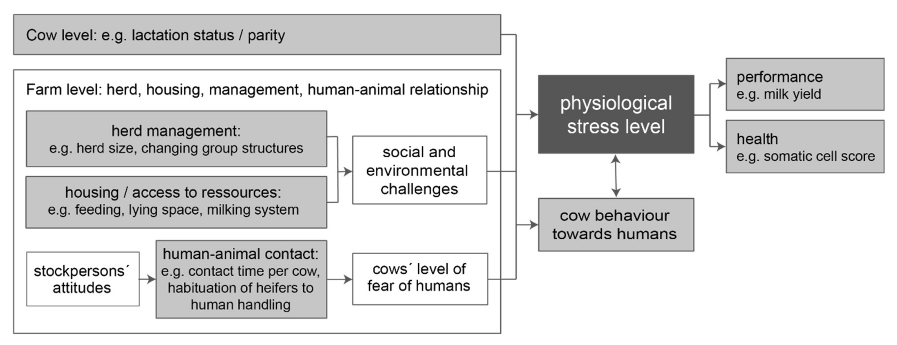 Animals | Free Full-Text | Fecal Cortisol Metabolites in Dairy Cows: A  Cross-Sectional Exploration of Associations with Animal, Stockperson, and  Farm Characteristics