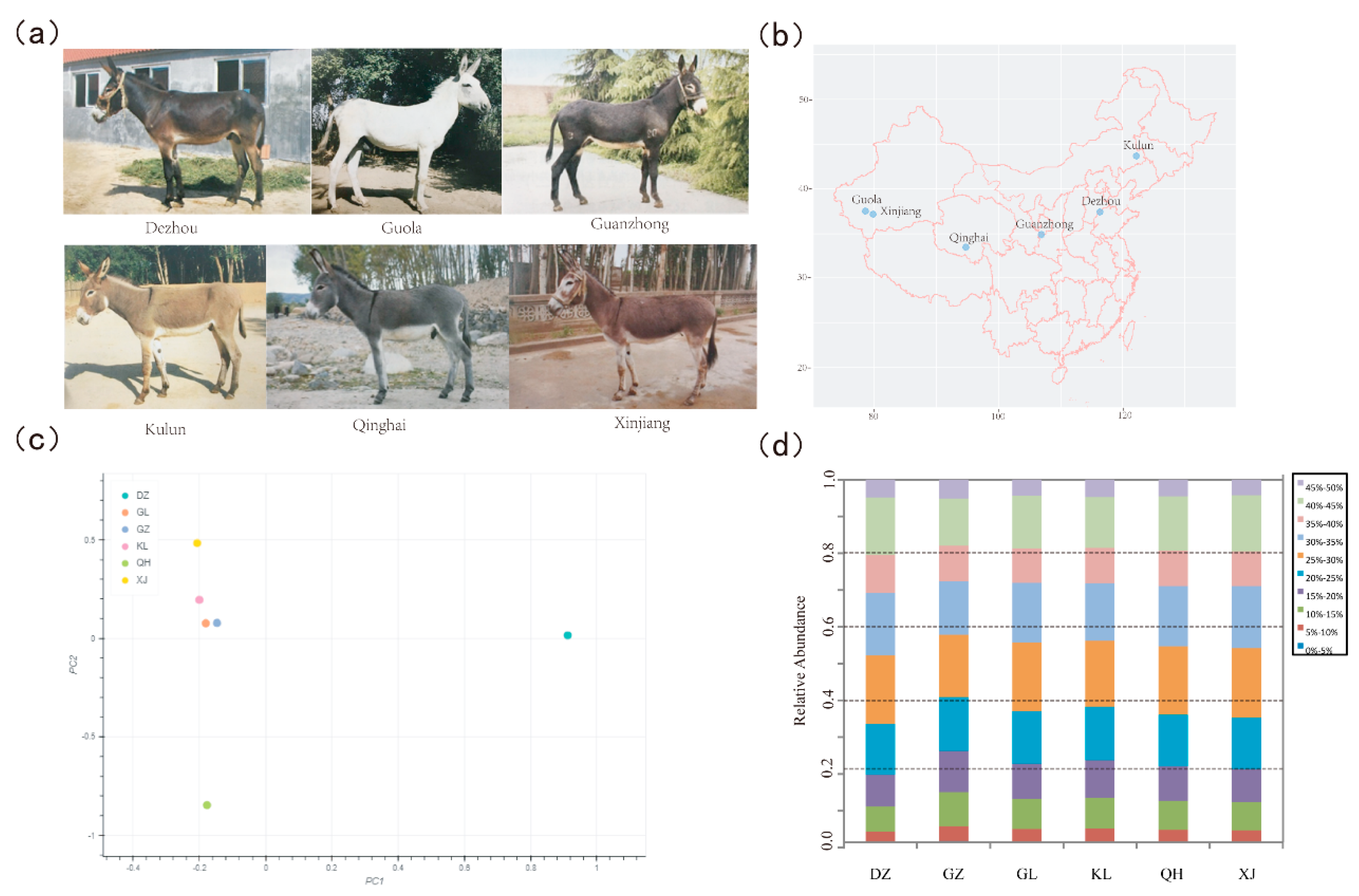 PDF] Hemoglobin polymorphism in white-tailed deer: subunit basis