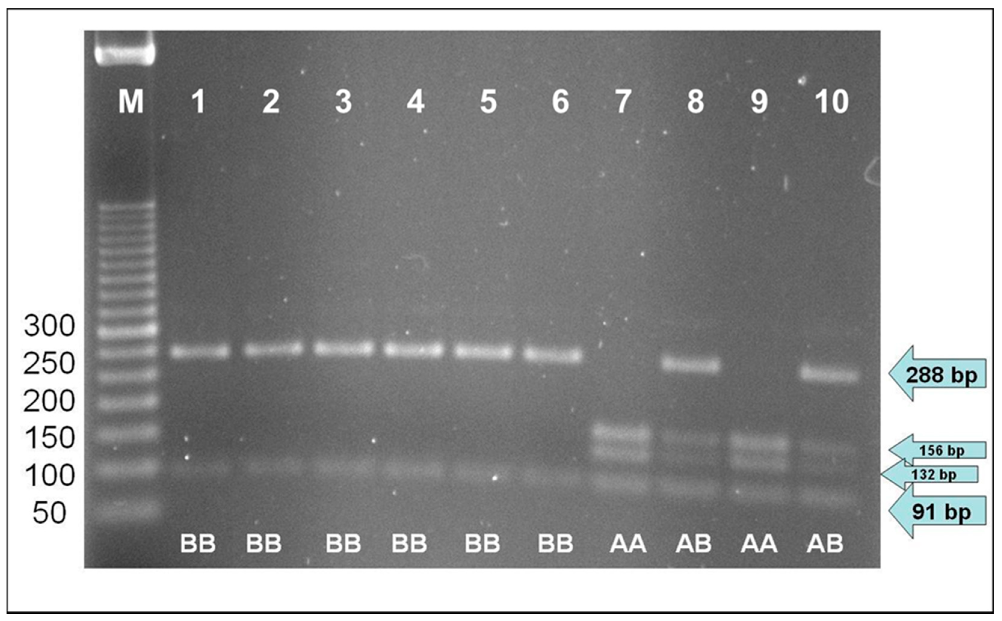 Animals | Free Full-Text | Exploring the Genotype at CSN3 Gene, Milk  Composition, Coagulation and Cheese-Yield Traits of the Sardo-Modicana, an  Autochthonous Cattle Breed from the Sardinia Region, Italy
