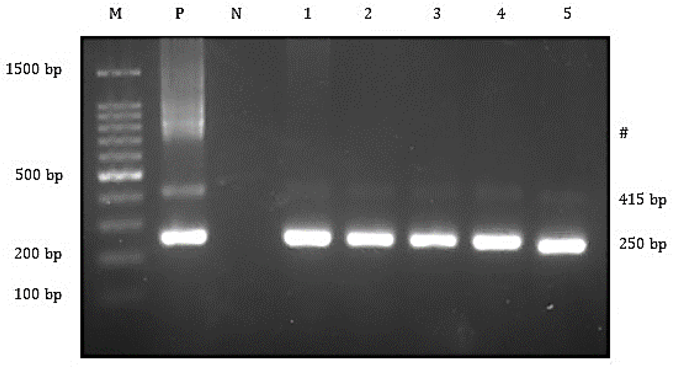 Animals 10 02141 g002