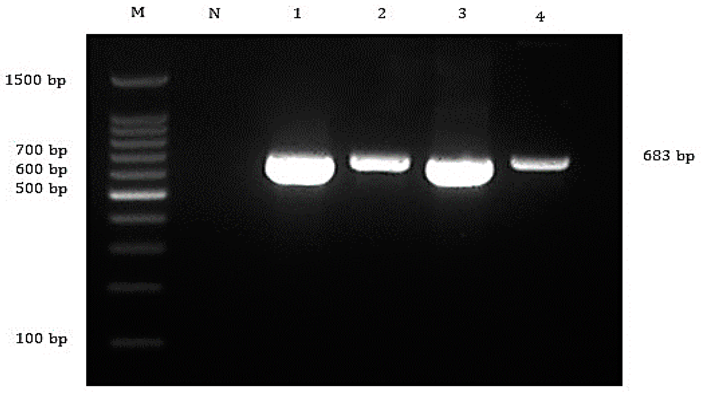 Animals 10 02141 g003