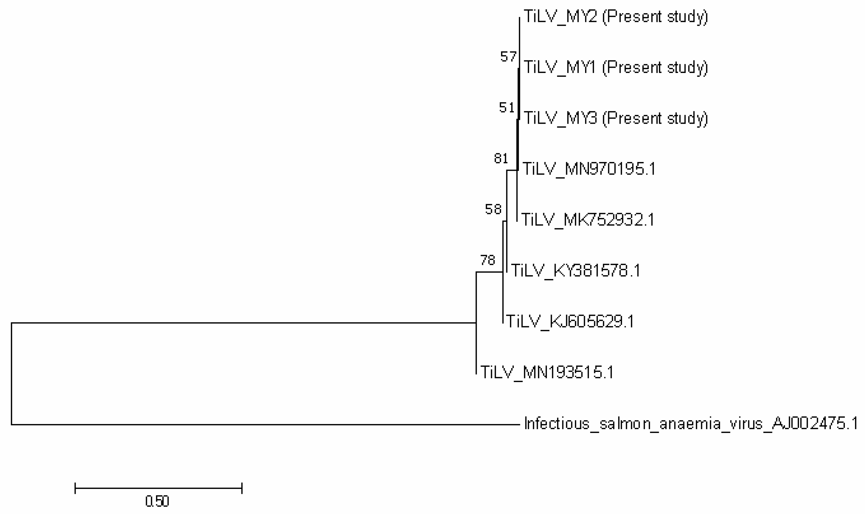 Animals 10 02141 g005
