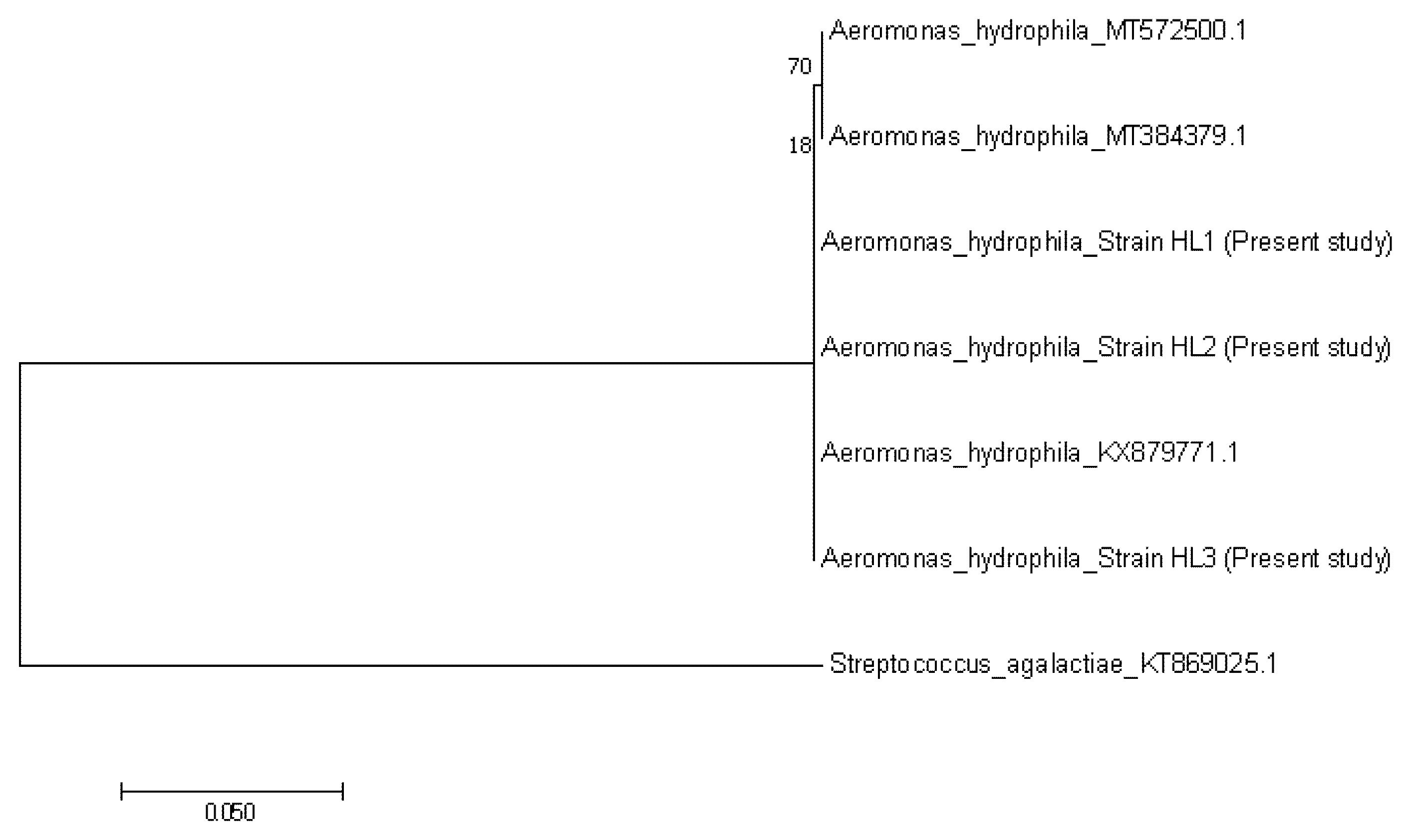 Animals 10 02141 g006