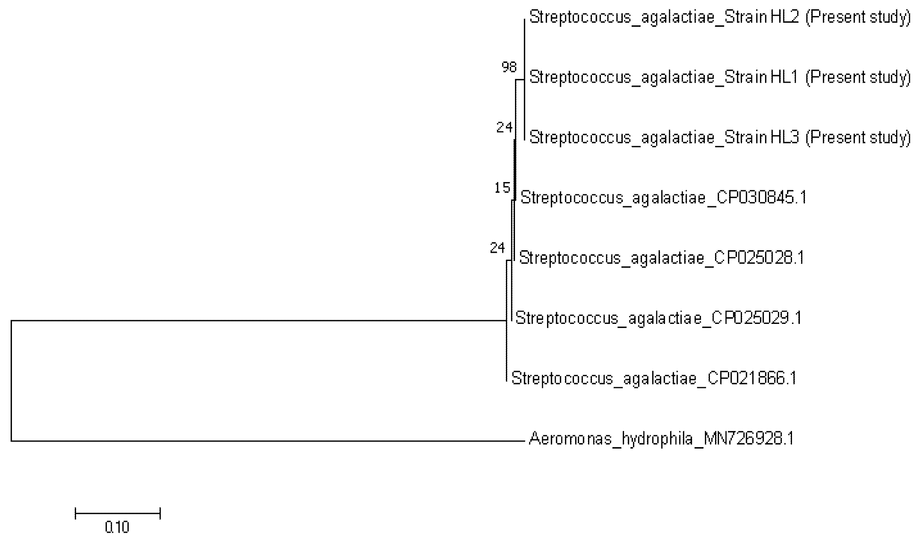 Animals 10 02141 g007