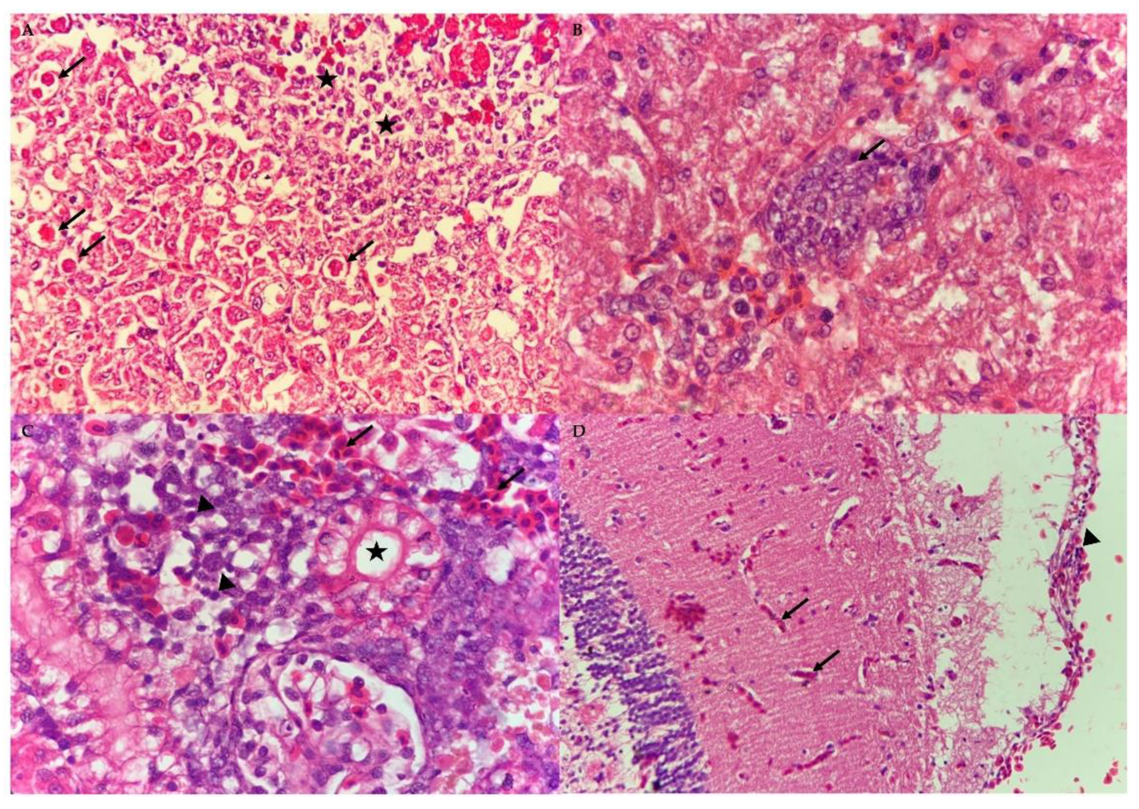 Animals 10 02141 g008