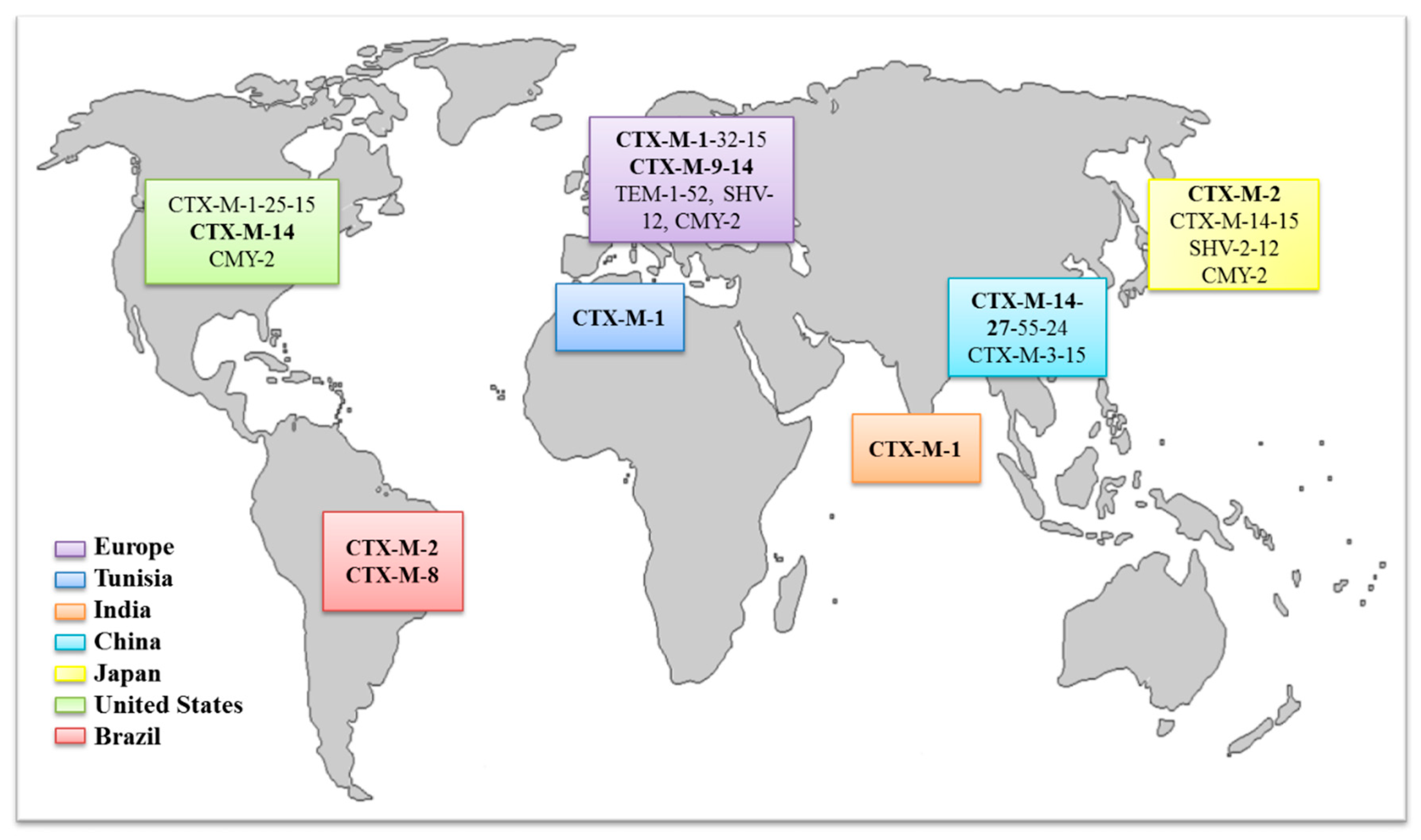 Animals | Free Full-Text | Escherichia coli as Commensal and