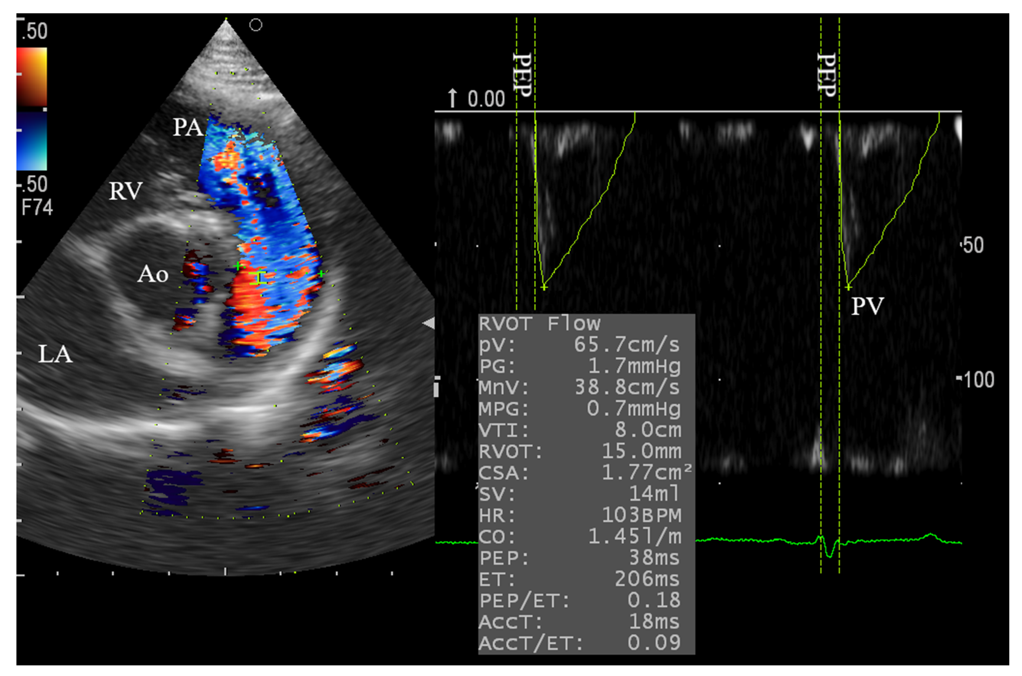 Animals 10 02320 g002 Animals 10 02320 g002